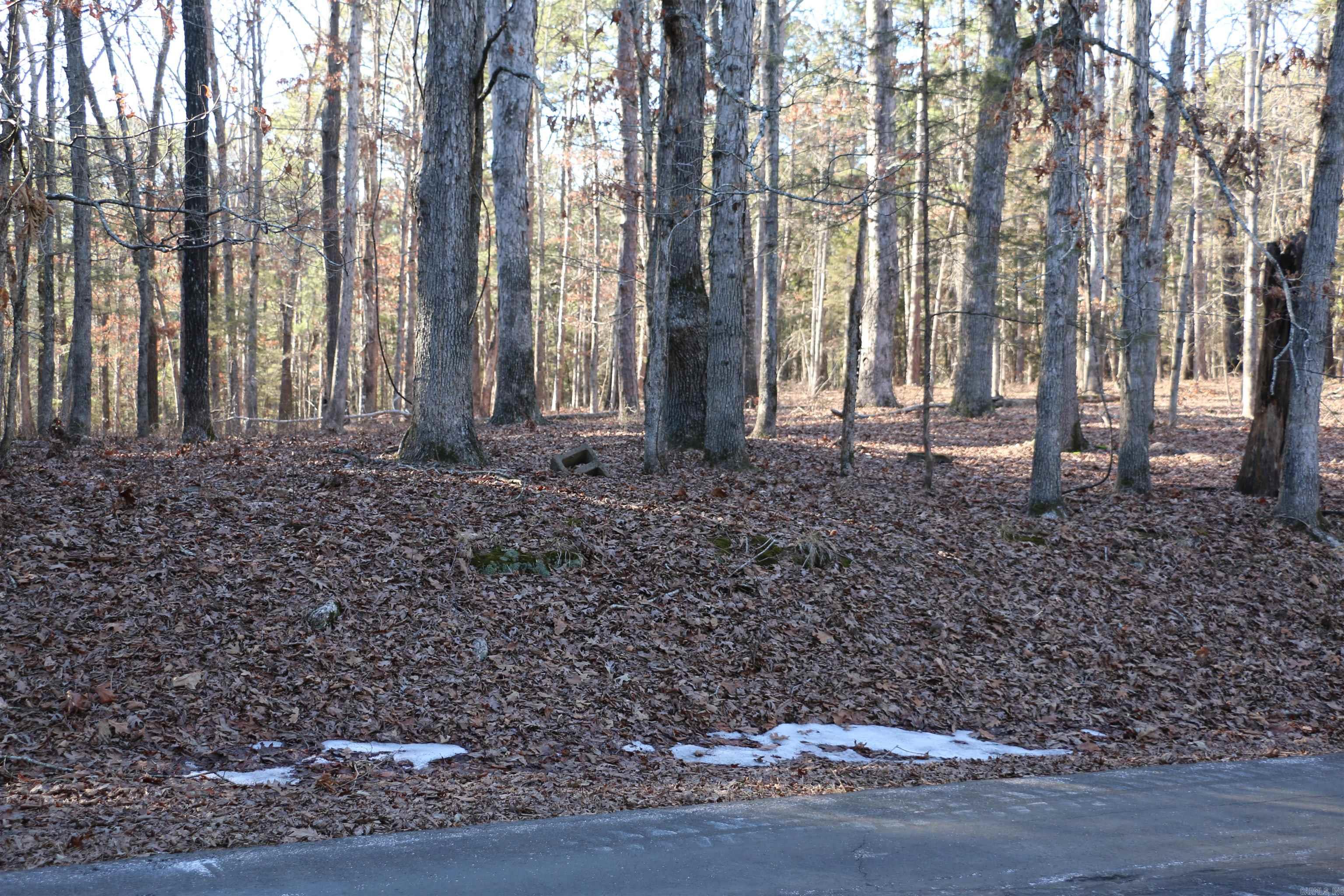 Hamilton Hills - Land