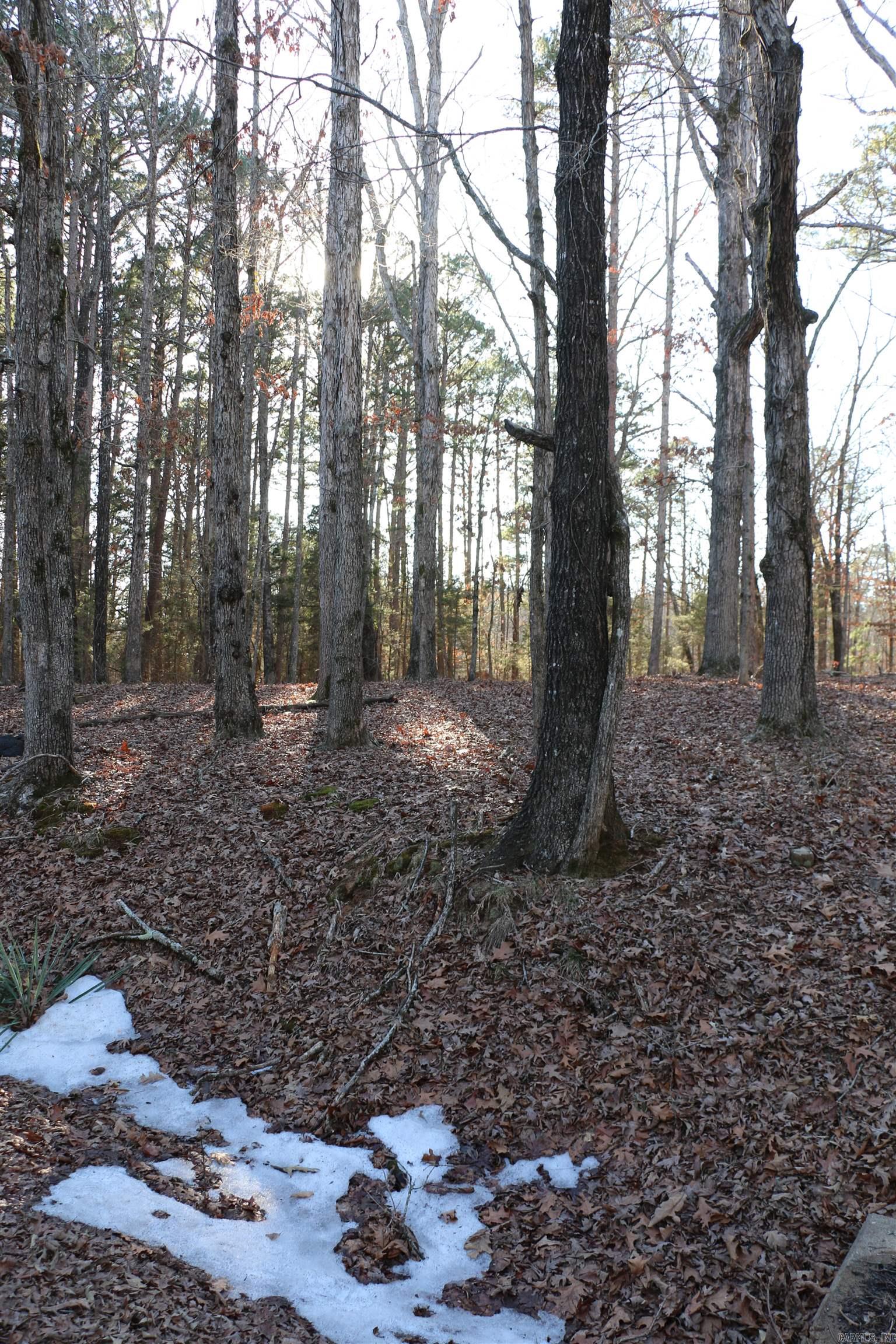 Hamilton Hills - Land