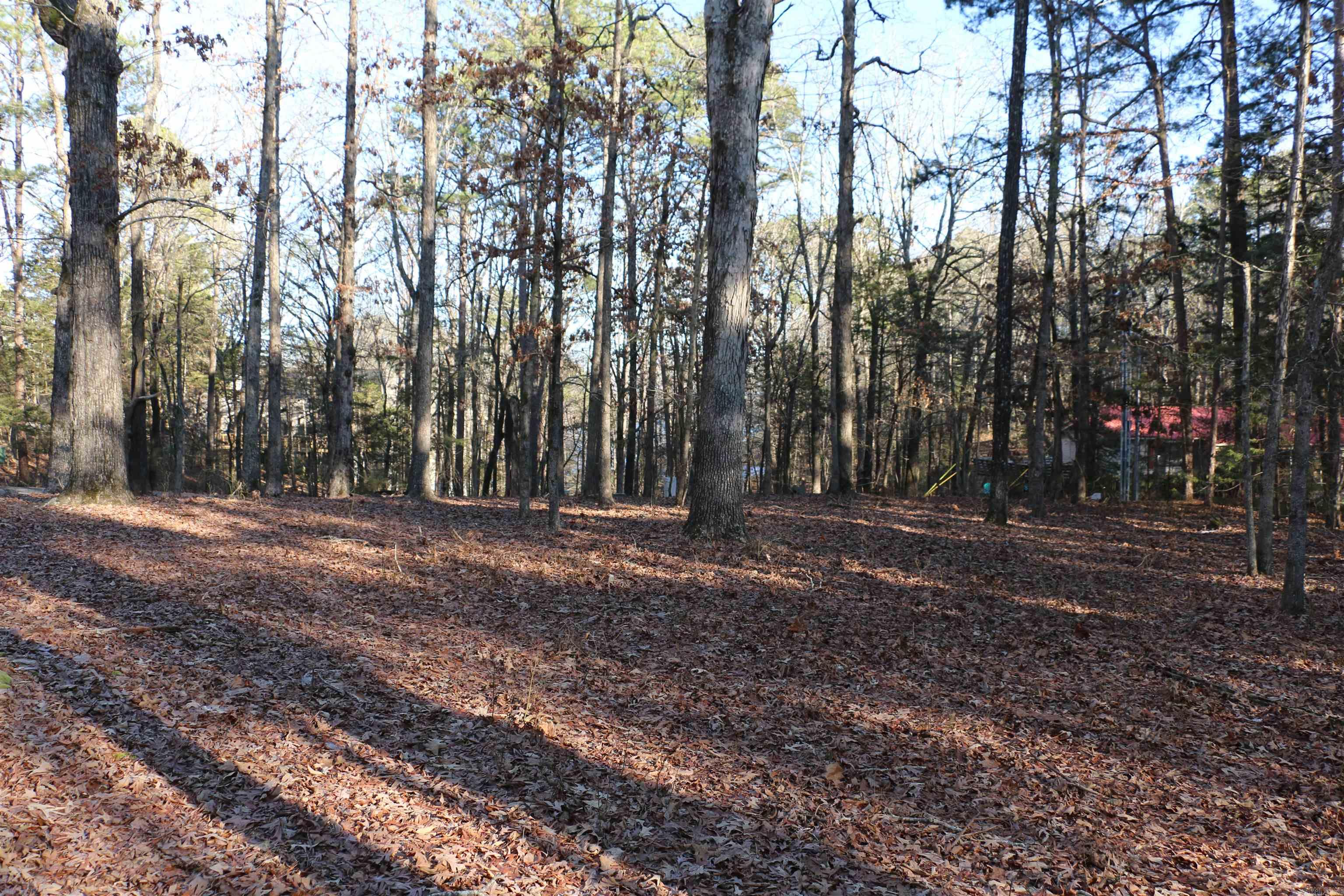 Hamilton Hills - Land