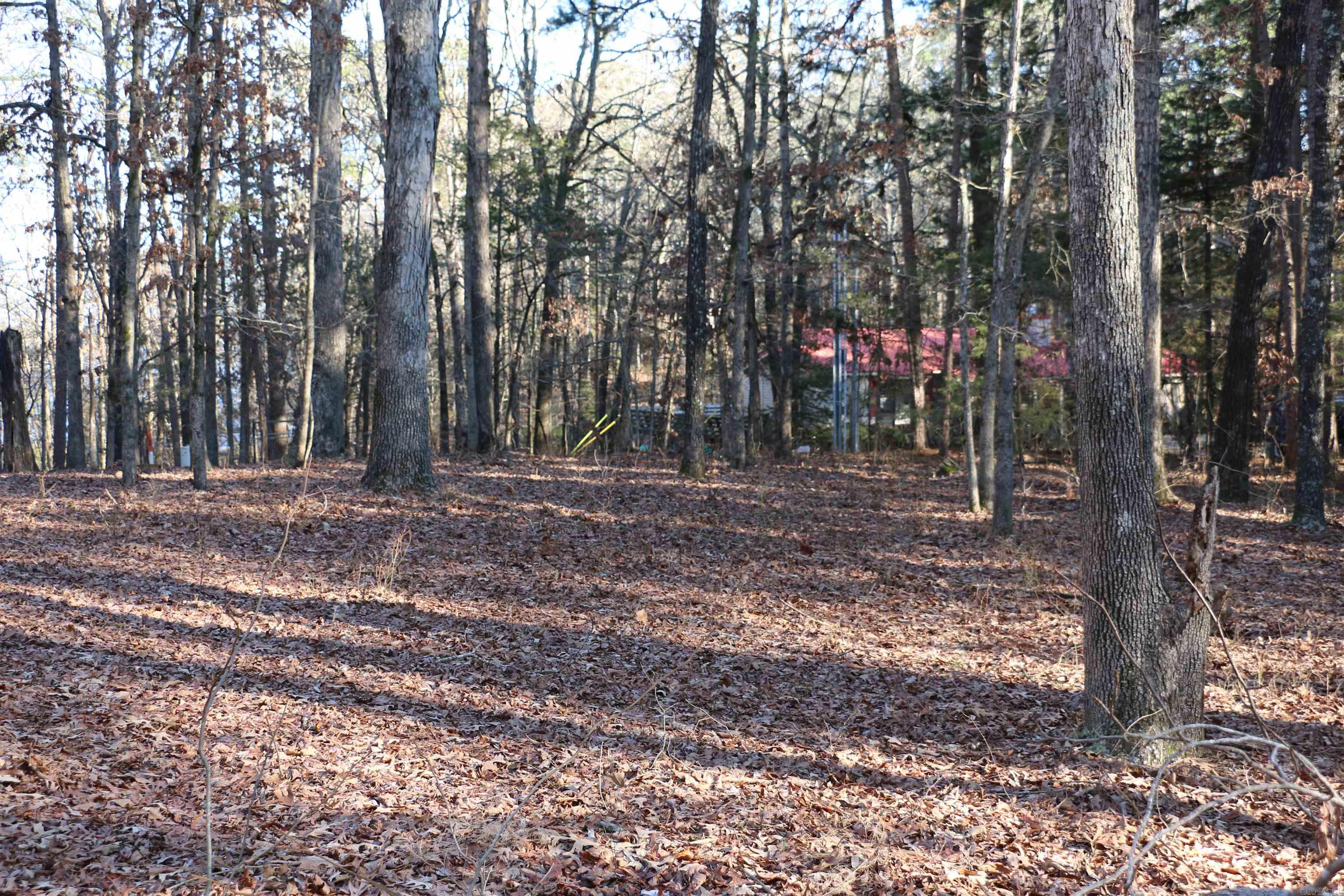 Hamilton Hills - Land