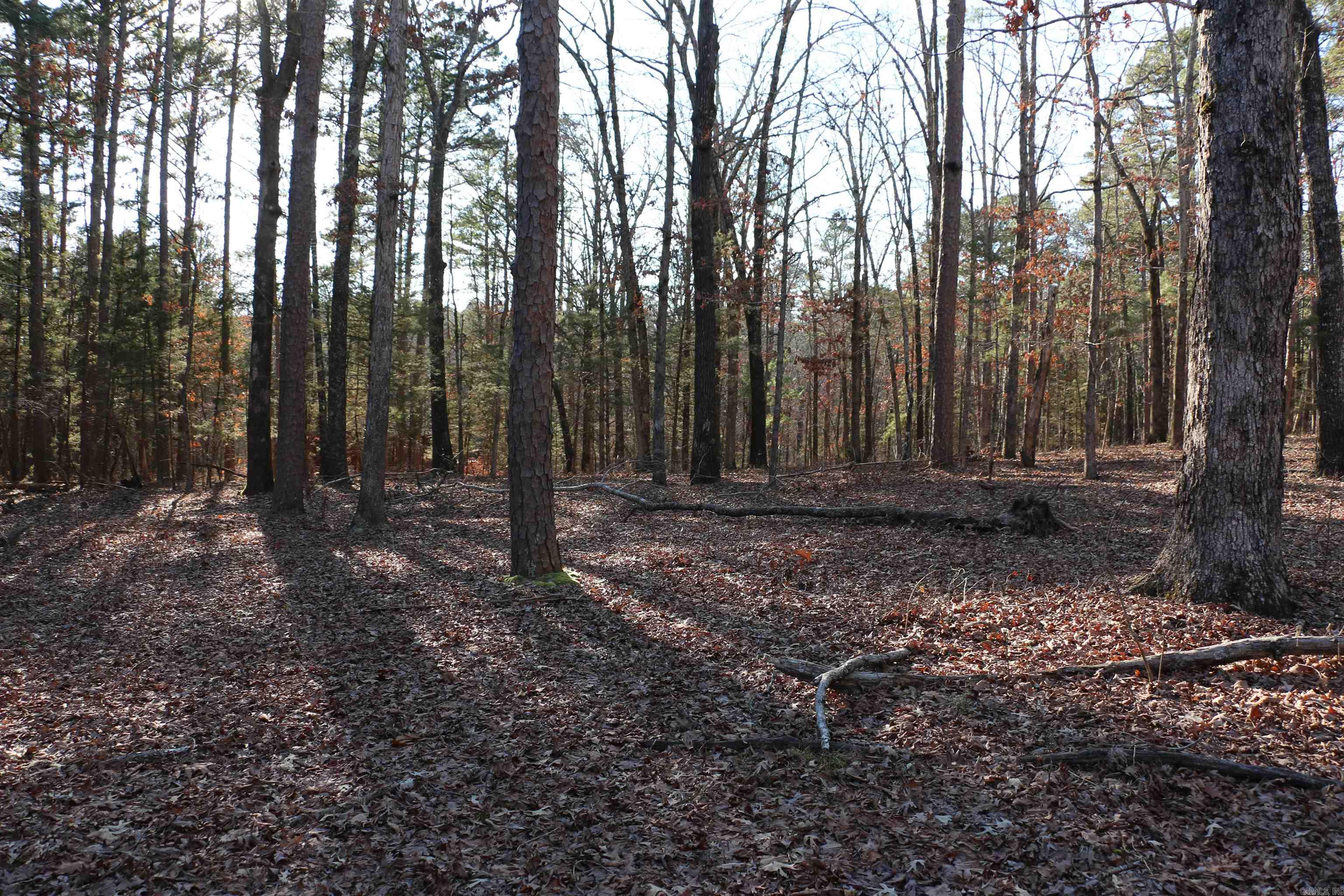 Hamilton Hills - Land