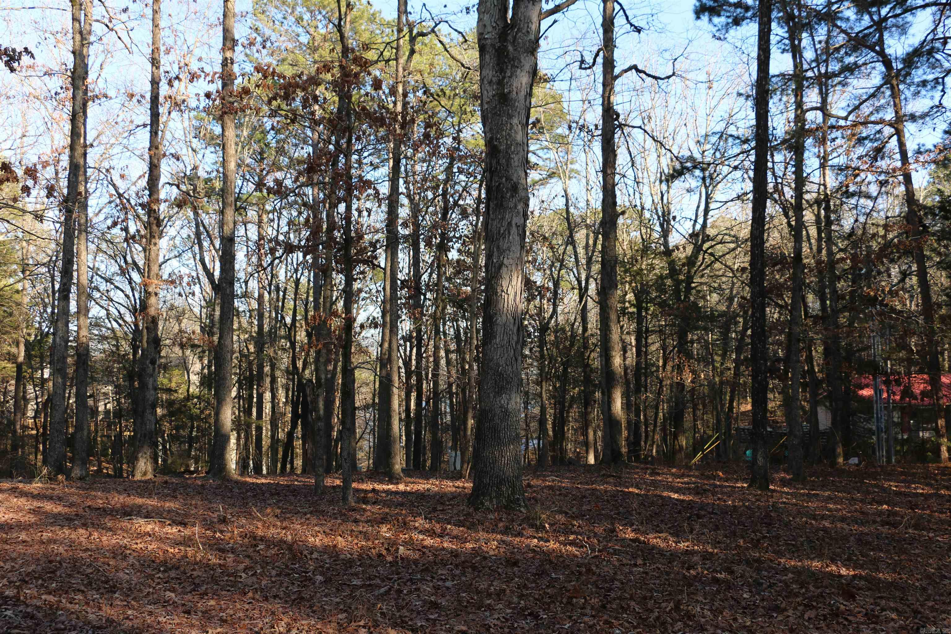 Hamilton Hills - Land