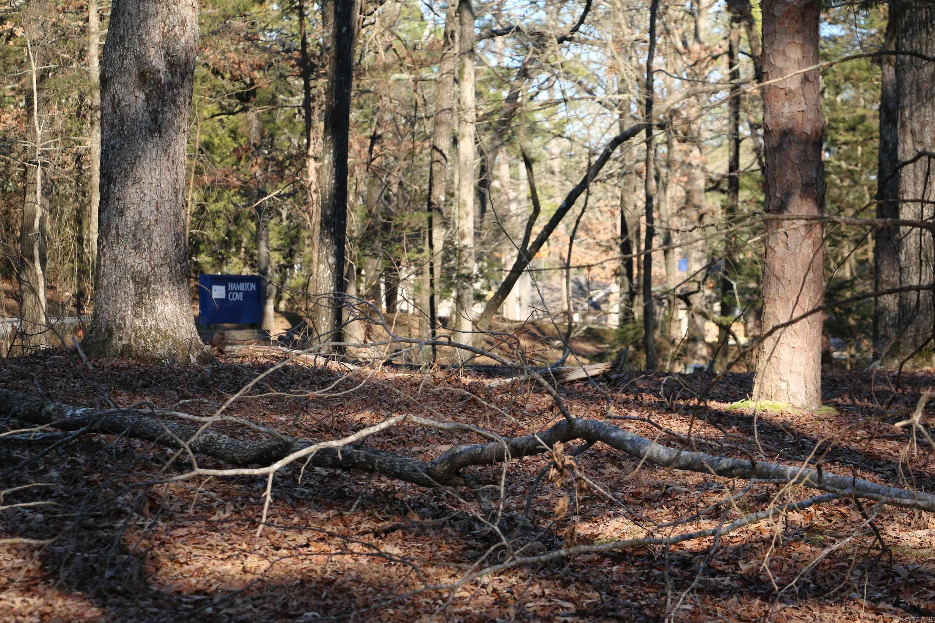 Hamilton Hills - Land