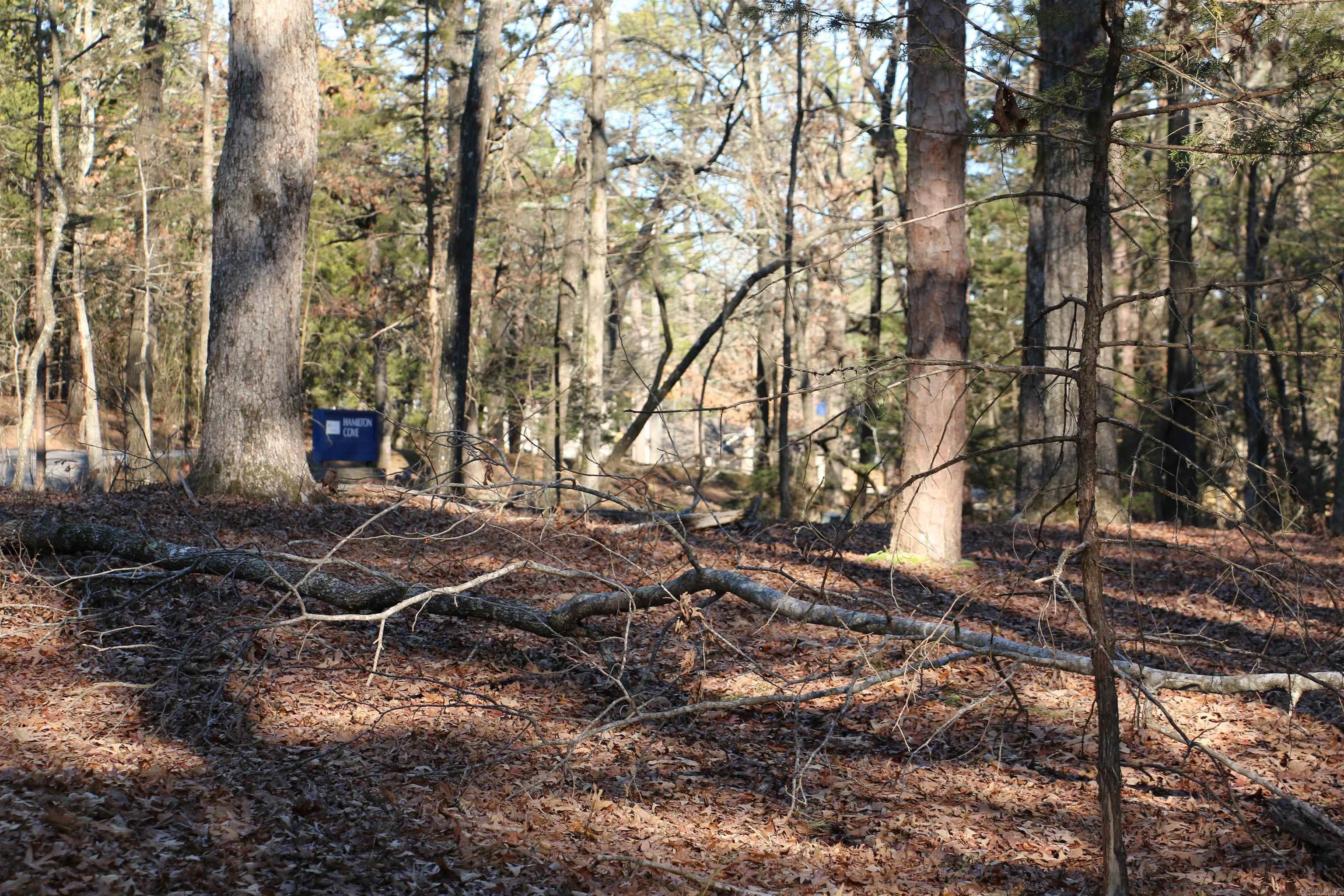 Hamilton Hills - Land