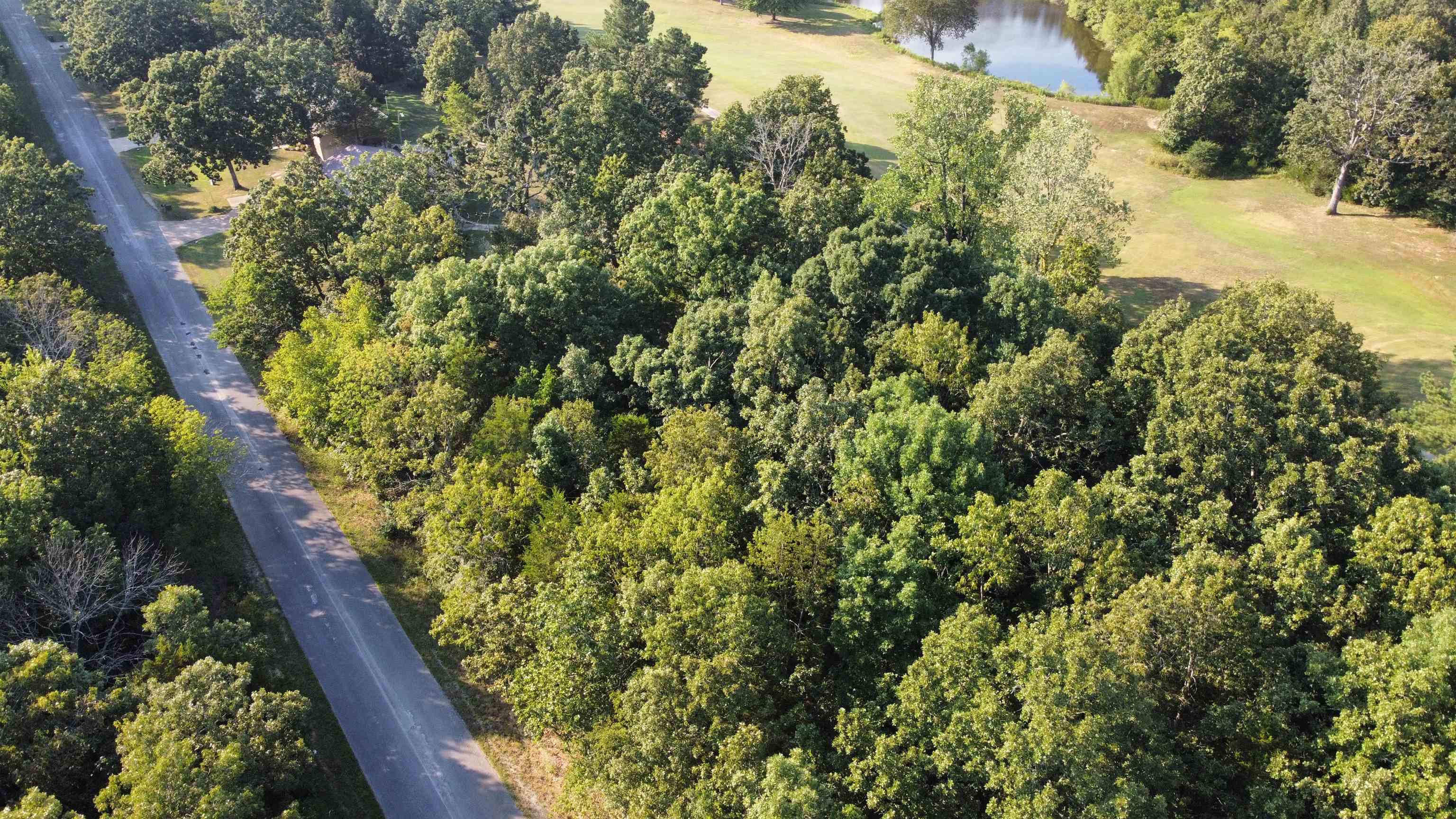 308 - 310 Airpark Road - Where Luxury Meet the Green! Welcome to an exceptional homesite on 2 lots along the fairways of Horseshoe Bend's coveted golf course, These exclusive lots offer the perfect foundation for your future dream home, framed by manicured greens and peaceful vistas. Wake to the gentle rustle of trees and the elegance of golf course living -- all just moments from lakeside leisure and community charm. Whether you envision a refined retreat or a striking new build, this is your chance to claim a lifestyle that speaks of grace, leisure, and timeless sophistication at one of Horseshoe Bend's most sought after addresses.