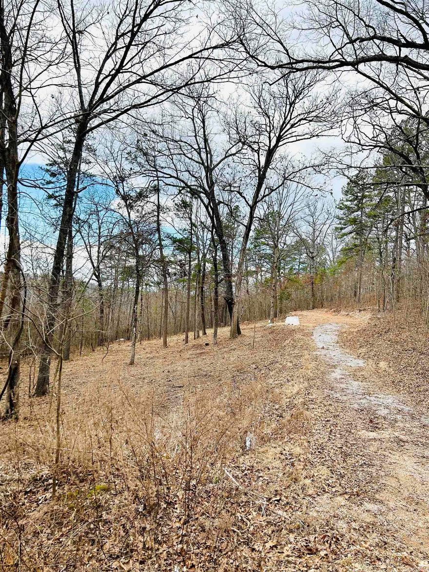 Located near the White River and convenient to Mountain View, accessing this desirable 2.8 acre property is easy with pavement all the way. With enough space for privacy, but not so much as to be difficult to maintain, this is a great location for an RV, vacation cabin, or a full time home. Electric and water are available at the street and the results of the soil percolation test show it to be suitable for up to a three bedroom home. Additionally, the property has good southern exposure should you wish to install solar for primary or backup electric and you can enjoy the views of the White River valley with just a bit of selective clearing.