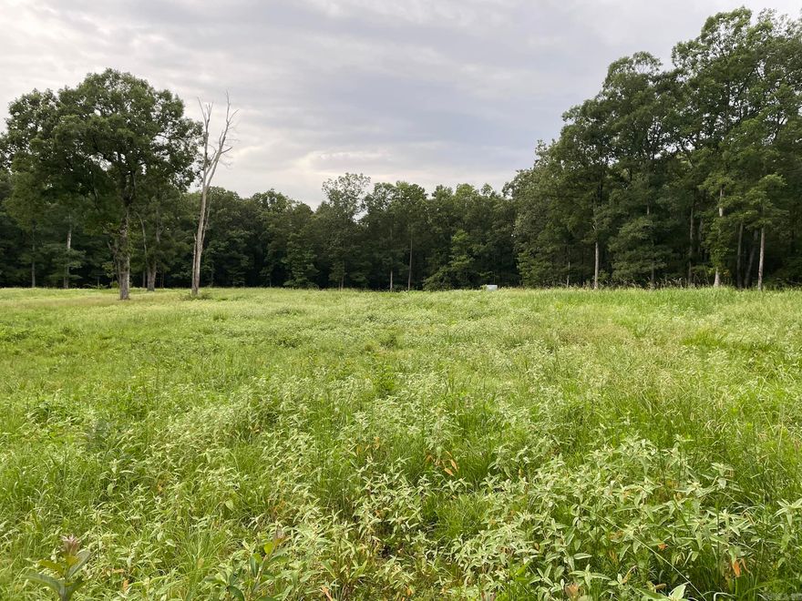 77.94 +/- Acres rolling pasture. Property features pond, barn, and fencing. Excellent property to build your new home.