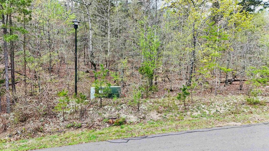 Wooded Lot in Hot Springs Village   Build your dream home on this beautiful wooded lot located  in Hot Springs Village. Enjoy a peaceful, private setting surrounded by nature while being part of a highly desirable gated community.  Ownership includes POA membership, giving you access to top-tier amenities such as golf courses, lakes, walking trails, fitness centers, and recreational facilities.  Whether you’re ready to build or invest for the future, this lot offers a great opportunity to enjoy the lifestyle and benefits of Hot Springs Village.