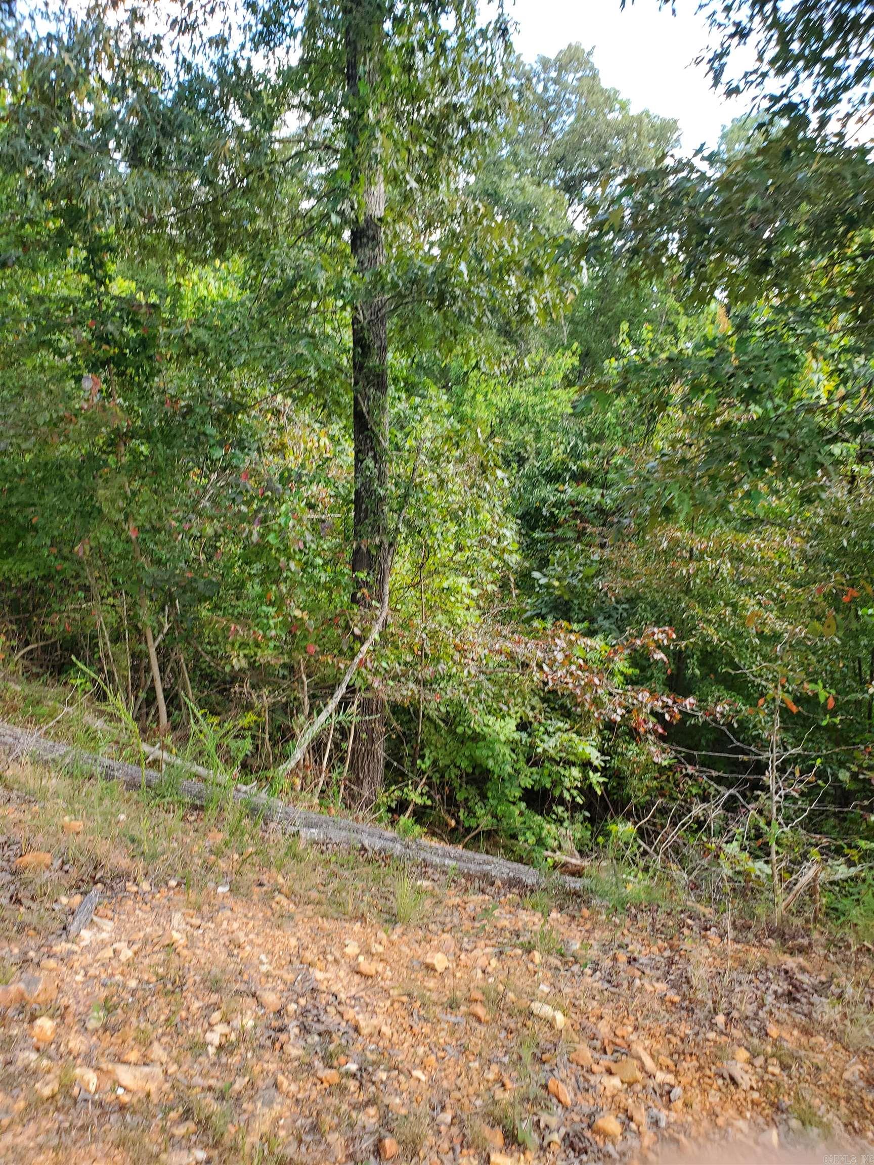 Mountain Crest - Land