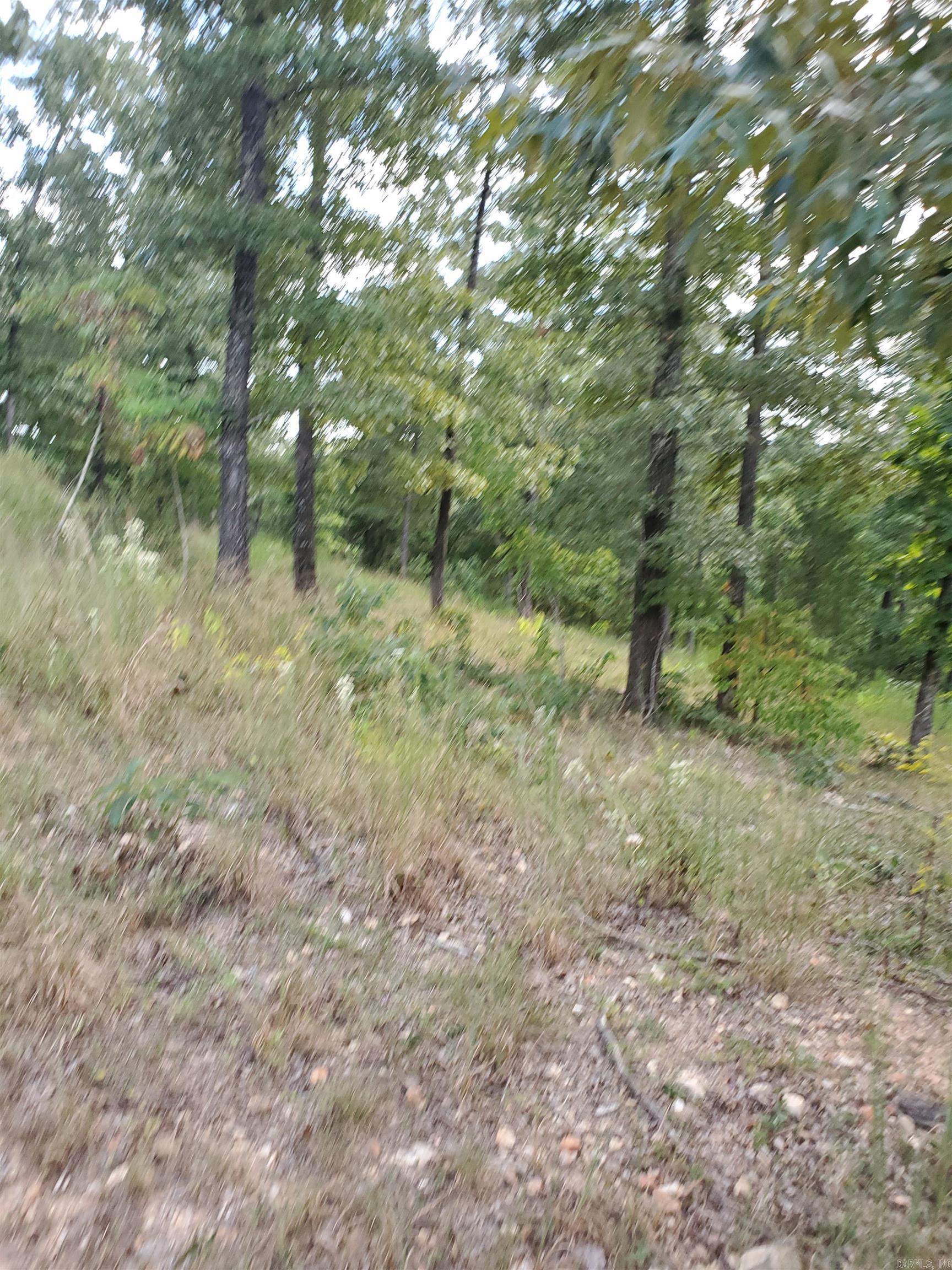 Mountain Crest - Land