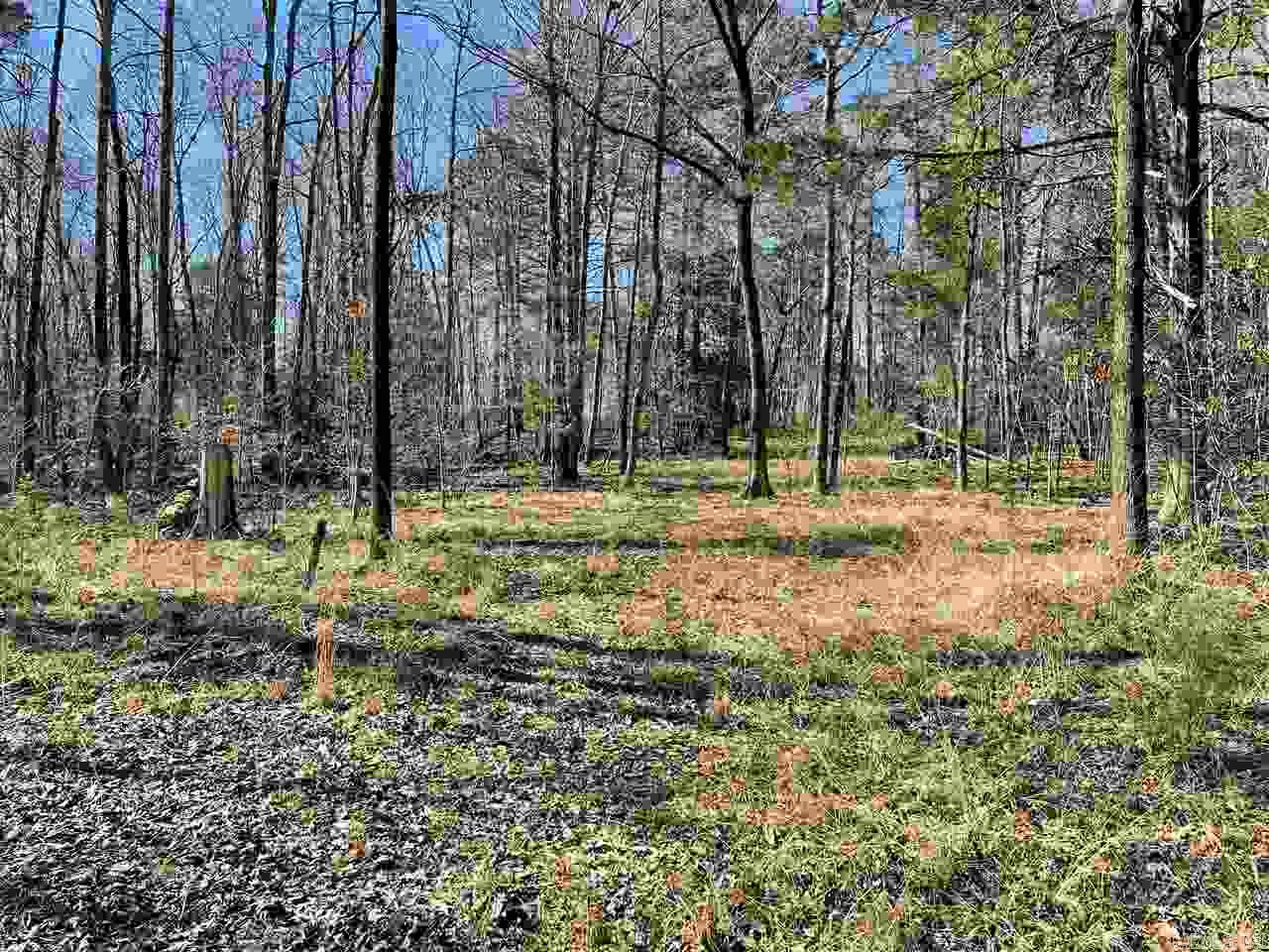 Metes & Bounds - Land