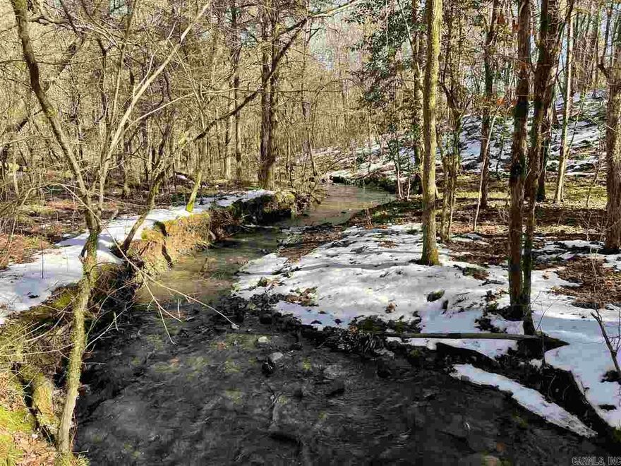 Unique Land Opportunity in Glenwood! 20+/- acres in Montgomery County. Property has 2 creeks that come off the mountain, slate rock, crystals & more! This parcel is a must see!