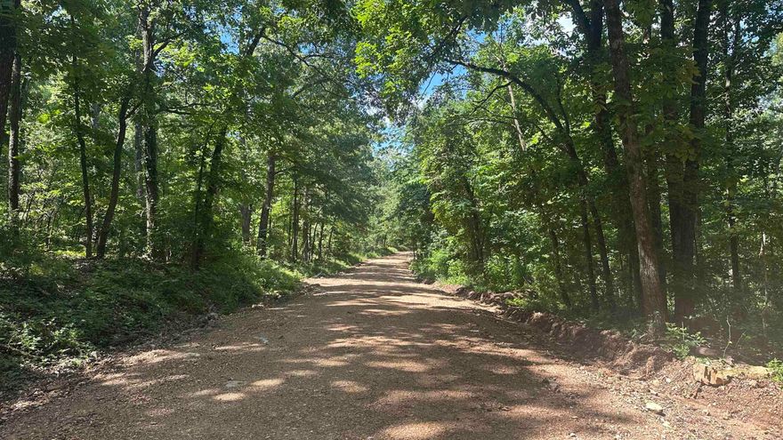 The Nicholson Timber Tract is a solid 34 +/- acre piece of ground just southeast of Ash Flat, offering a nice mix of seclusion and accessibility. It’s covered in mature, mast-producing timber that makes it a great spot for hunting or just enjoying the outdoors.  With road frontage on both S. Corinth Road and E. Campground Road, plus electric at the road, it’s also a strong candidate for a cabin or home site. Whether you’re looking for a small hunting property, a peaceful retreat, or a place to build in the woods, this one’s worth a look.  Quiet, wooded, and full of potential — the kind of place that doesn’t come along every day.