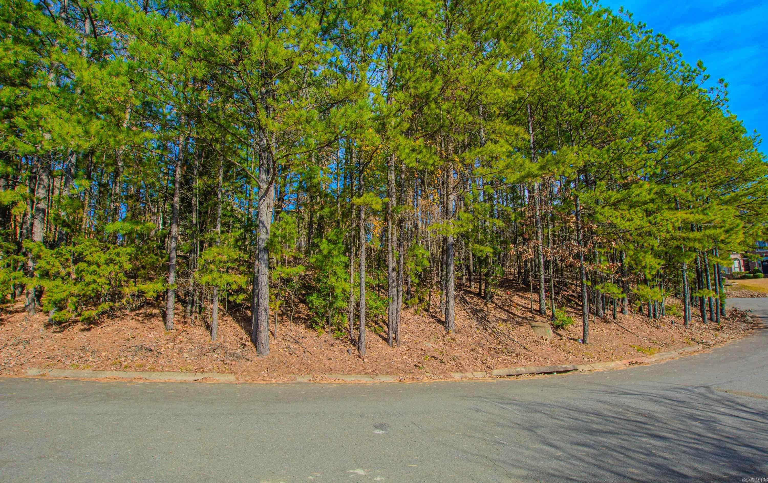 THE VILLAGES OF WELLINGTON - Land