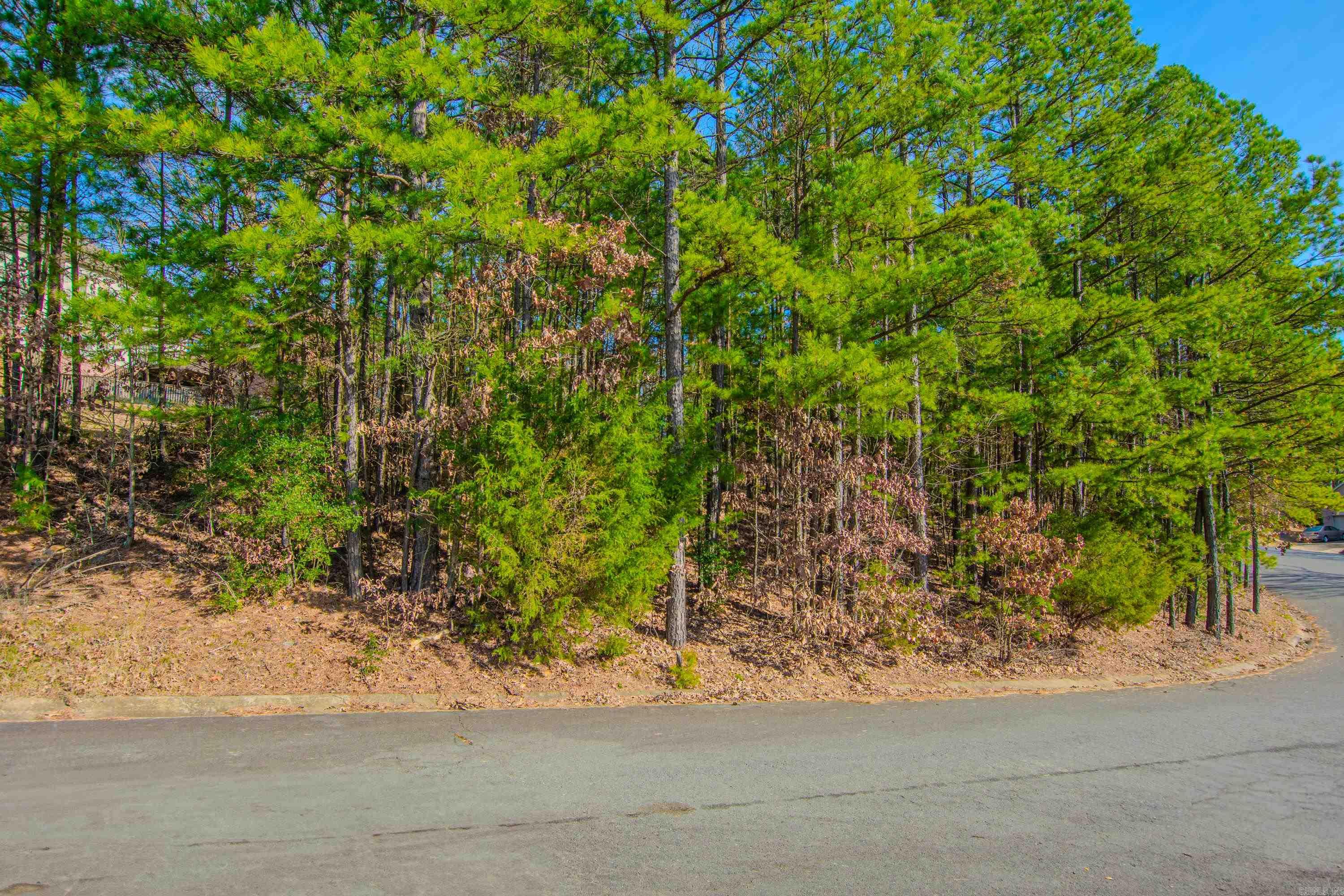 THE VILLAGES OF WELLINGTON - Land