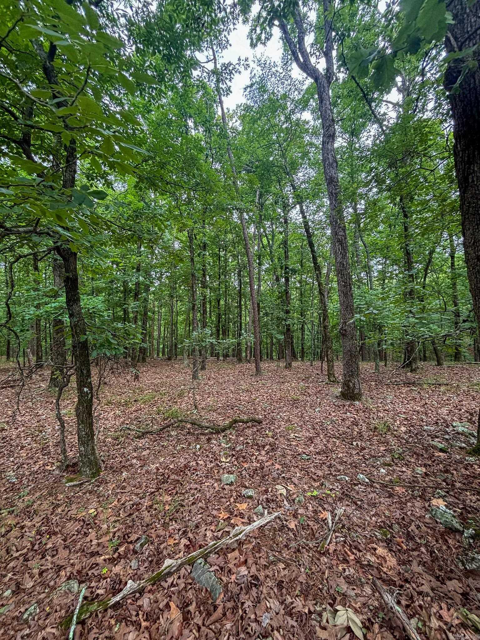 Hickory Nut Mountain Estates - Land