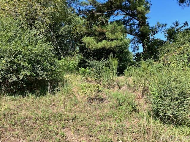 Randolph County - Land