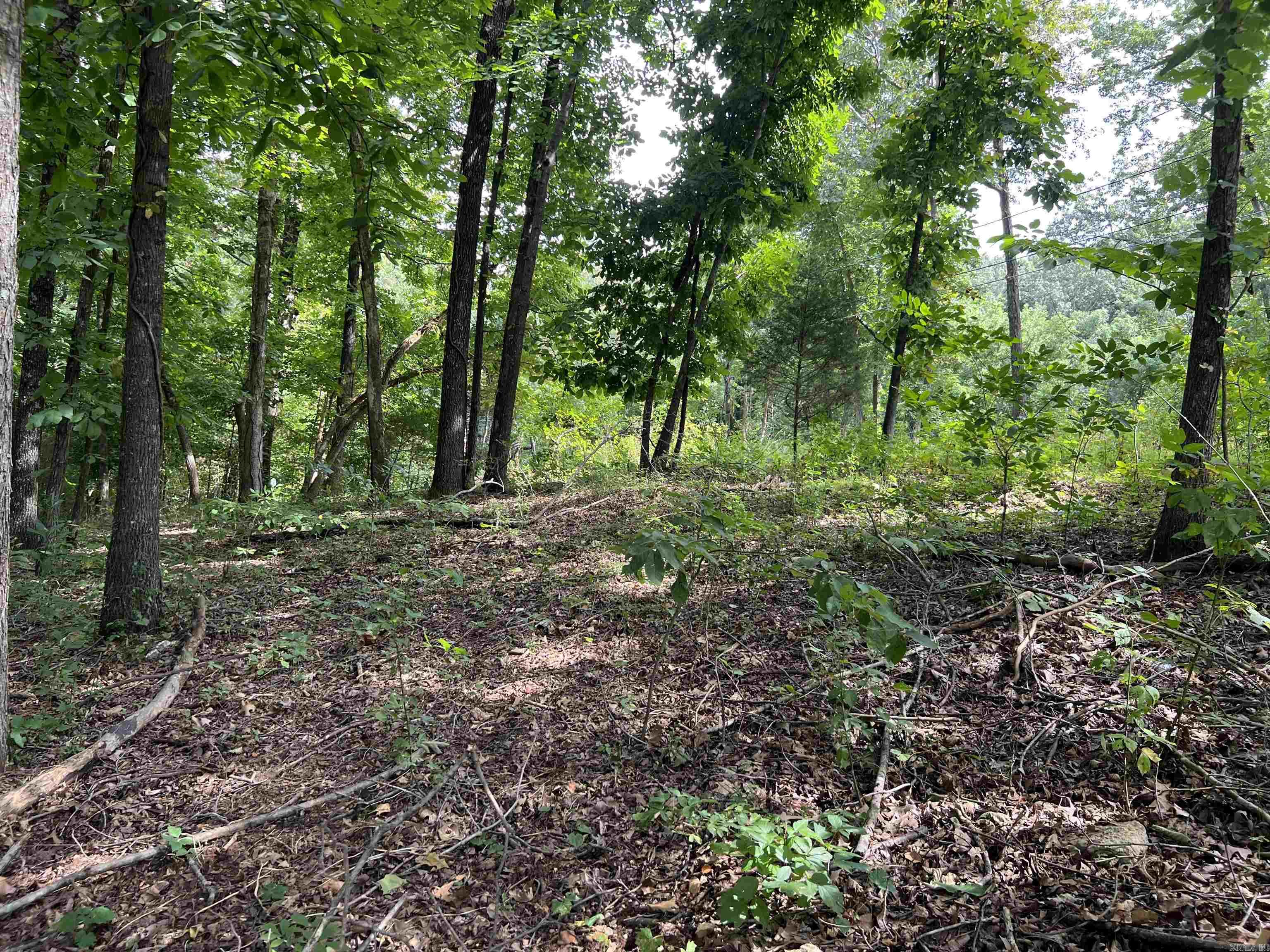 PARNELL SPRING RIVER - Land