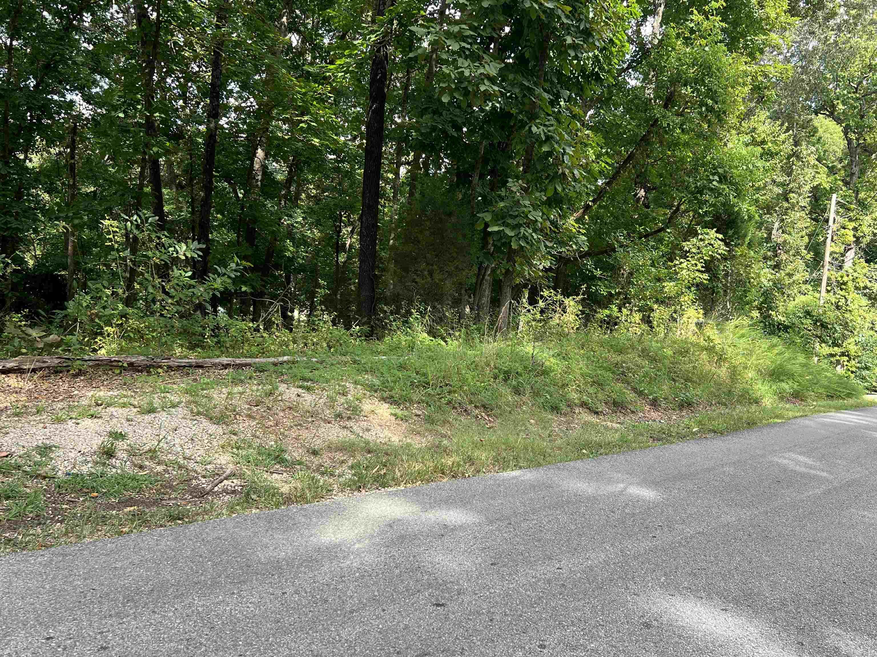 PARNELL SPRING RIVER - Land