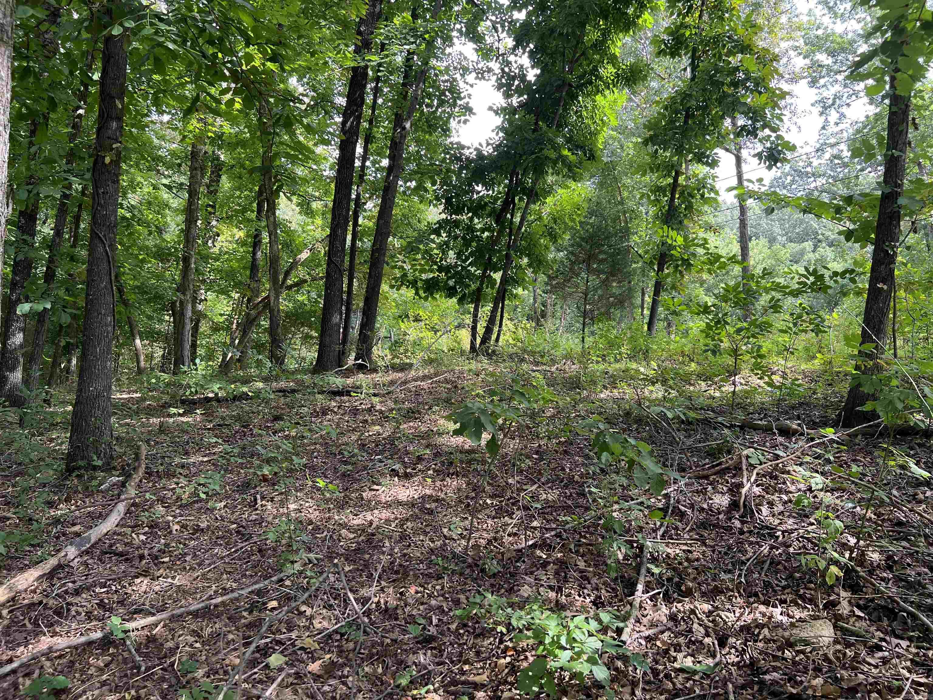 PARNELL SPRING RIVER - Land