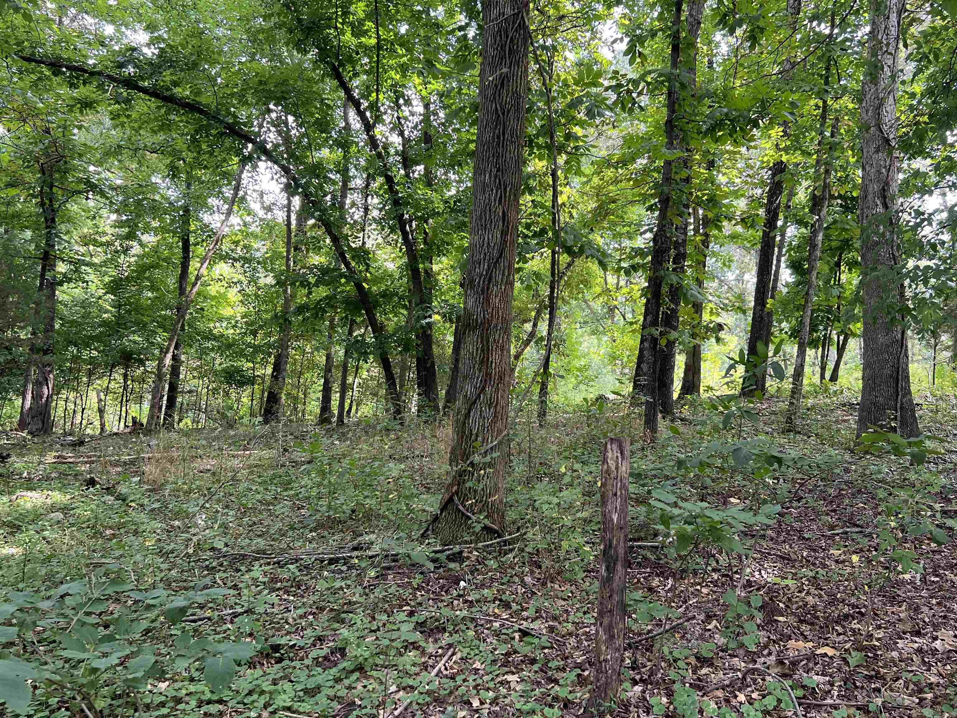 PARNELL SPRING RIVER - Land