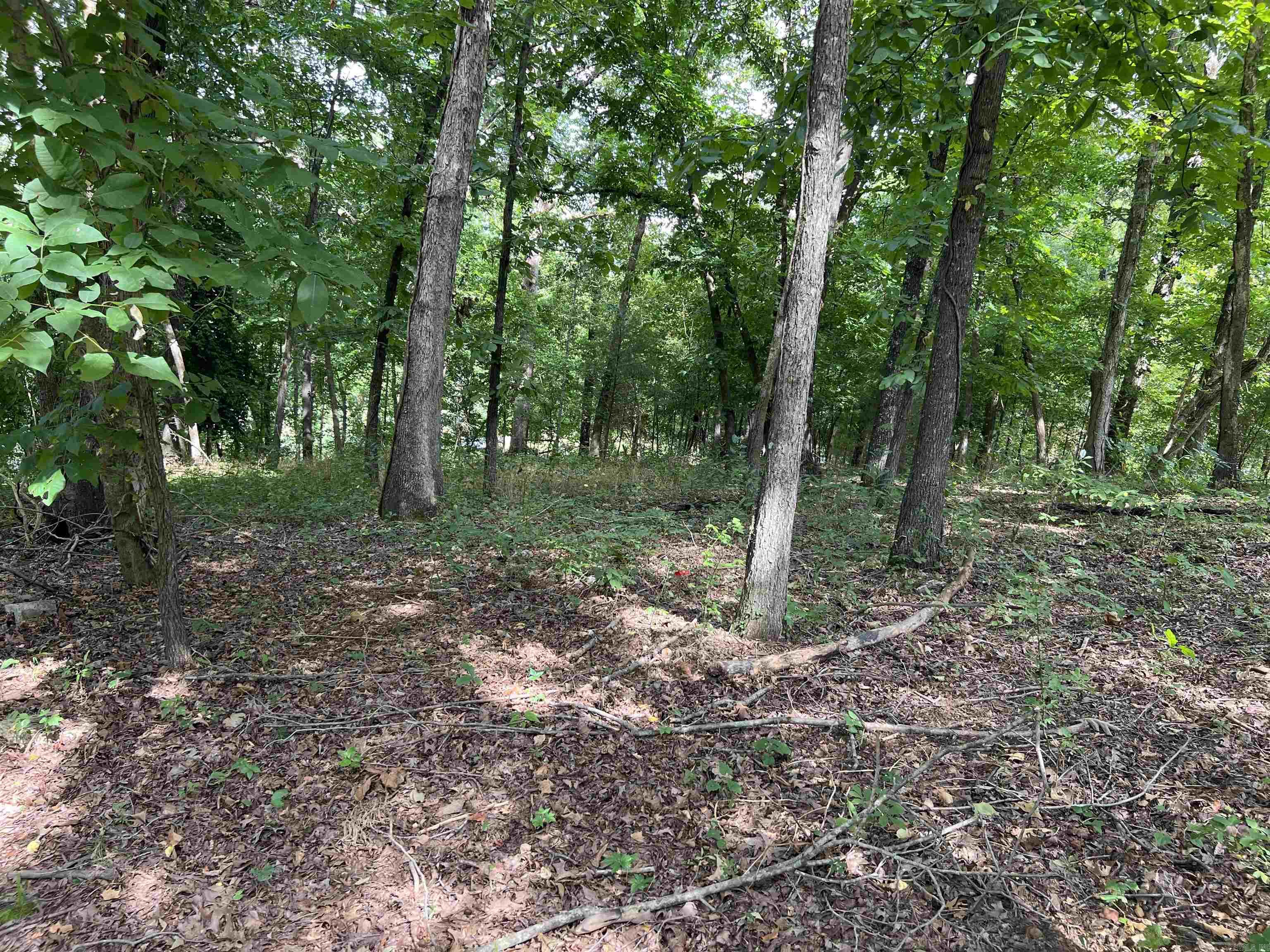 PARNELL SPRING RIVER - Land