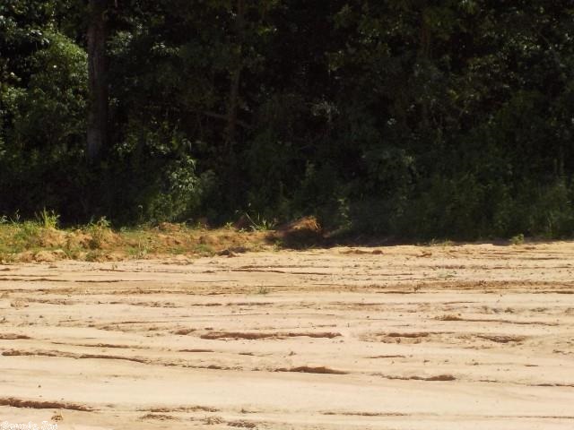 Valley View Manor - Land