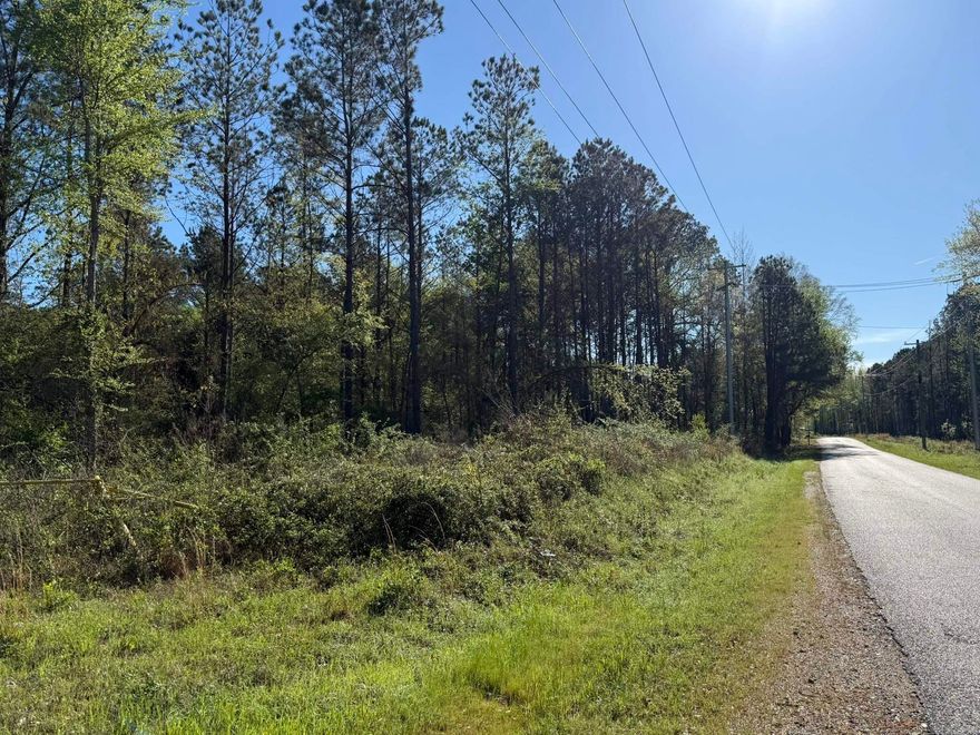 Looking for the perfect location to build your dream home or weekend retreat, this property offers approximately 10 acres boarding the city limits of Murfreesboro, the privacy of rural living with city conveniences. This timber property has been selectively thinned, allowing seclusion with open spaces to build your forever home, cabin or weekend getaway.  Utilities are available at the paved road.  You are minutes from the hustle and bustle of downtown Murfreesboro, the historic Kadoha Indian Village, the Crater of Diamond State Park, the Little Missouri River and the beautiful recreational Lake Greeson.