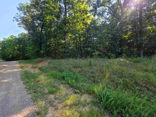 E LAKE SHORE DR, WILLIFORD, AR 72482 - Image 26428d48efb5f8fe4f85dc77b58d620b/3660914562