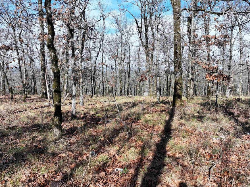 Discover the perfect blend of convenience, and natural beauty with this undeveloped rural land located on a scenic mountain ridge. Surrounded by mature woods, this property offers beautiful views and a peaceful setting just outside the city limits—ideal for those seeking seclusion without sacrificing access to modern amenities. Enjoy a short drive to Hot Springs for shopping, dining, entertainment, and medical services, while also being conveniently close to Lake Hamilton and DeGray Lake for boating, fishing, and outdoor recreation. The elevated ridge setting provides an excellent opportunity for a future home, cabin, or weekend retreat.