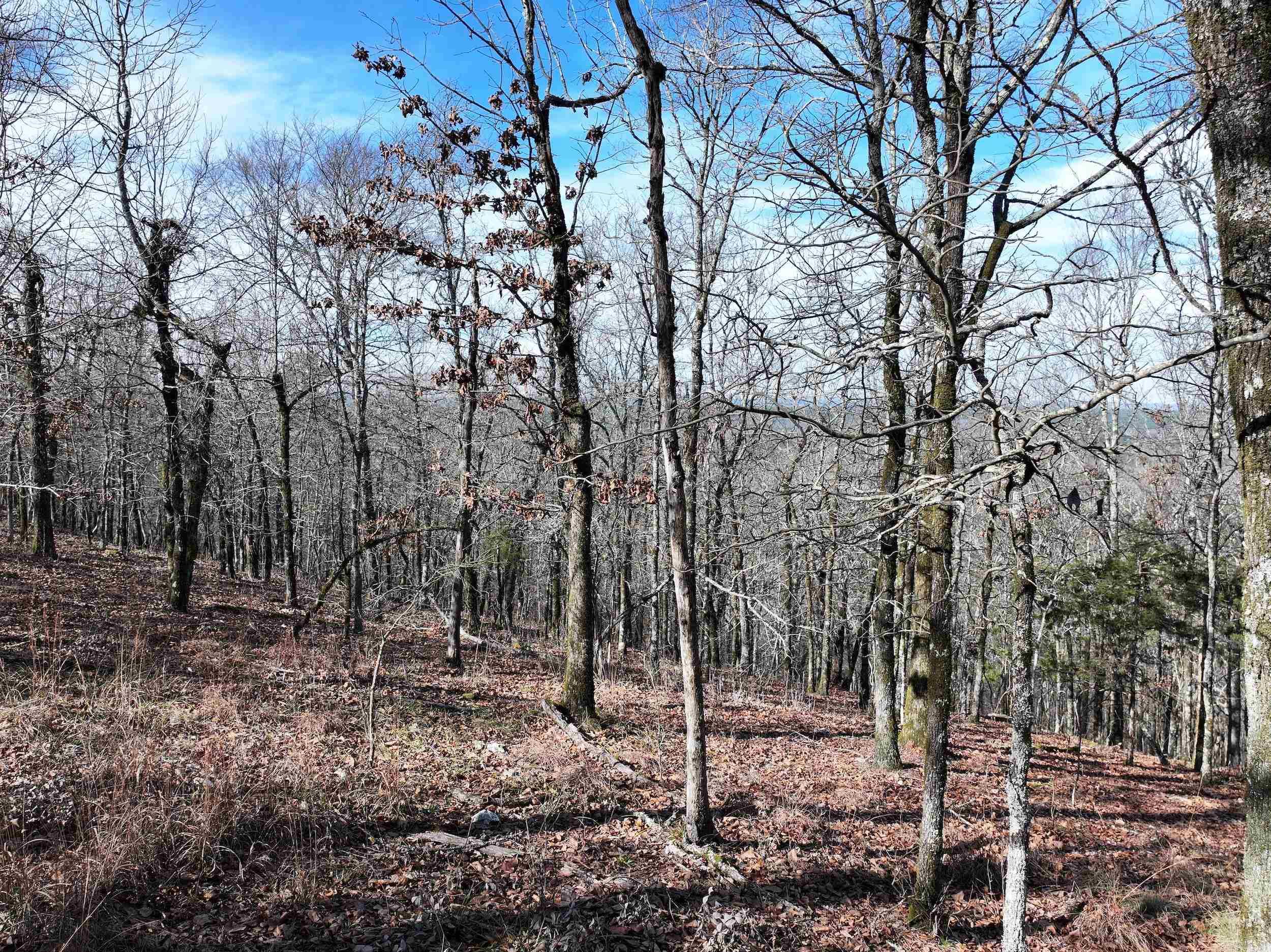 Metes & Bounds - Land