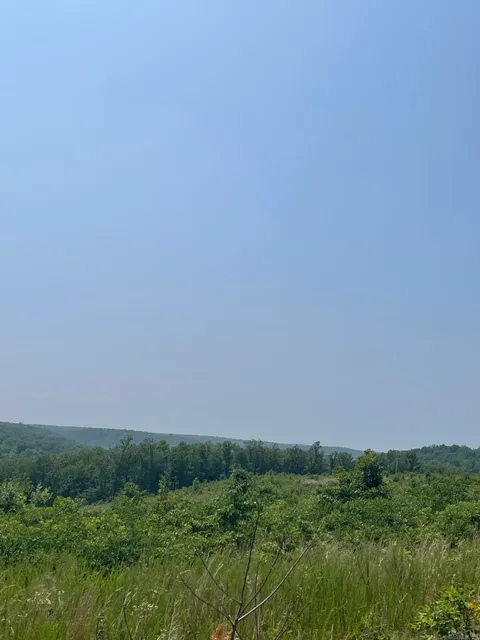 MLS: 24040087