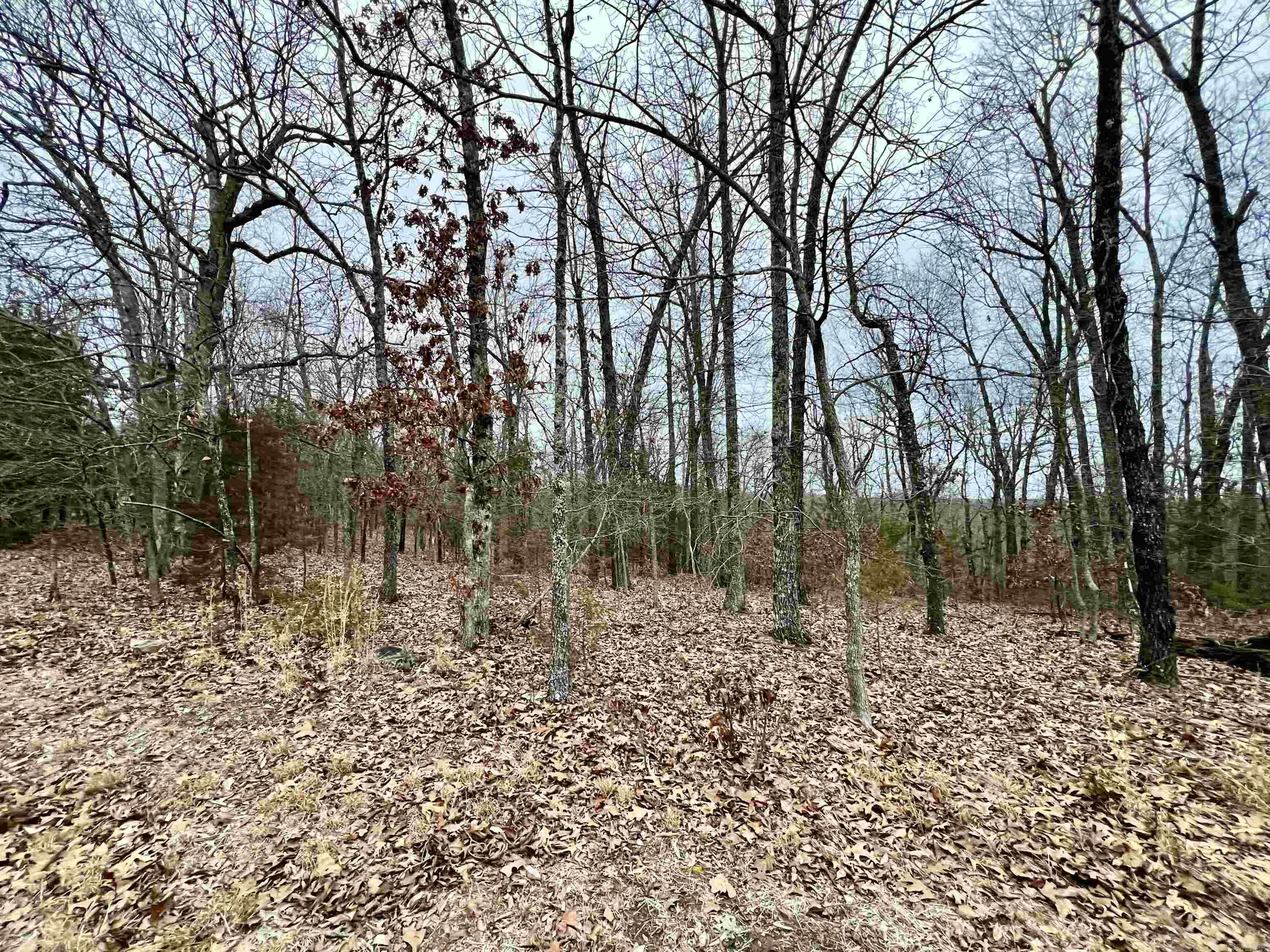 Paradise Point Estates - Land