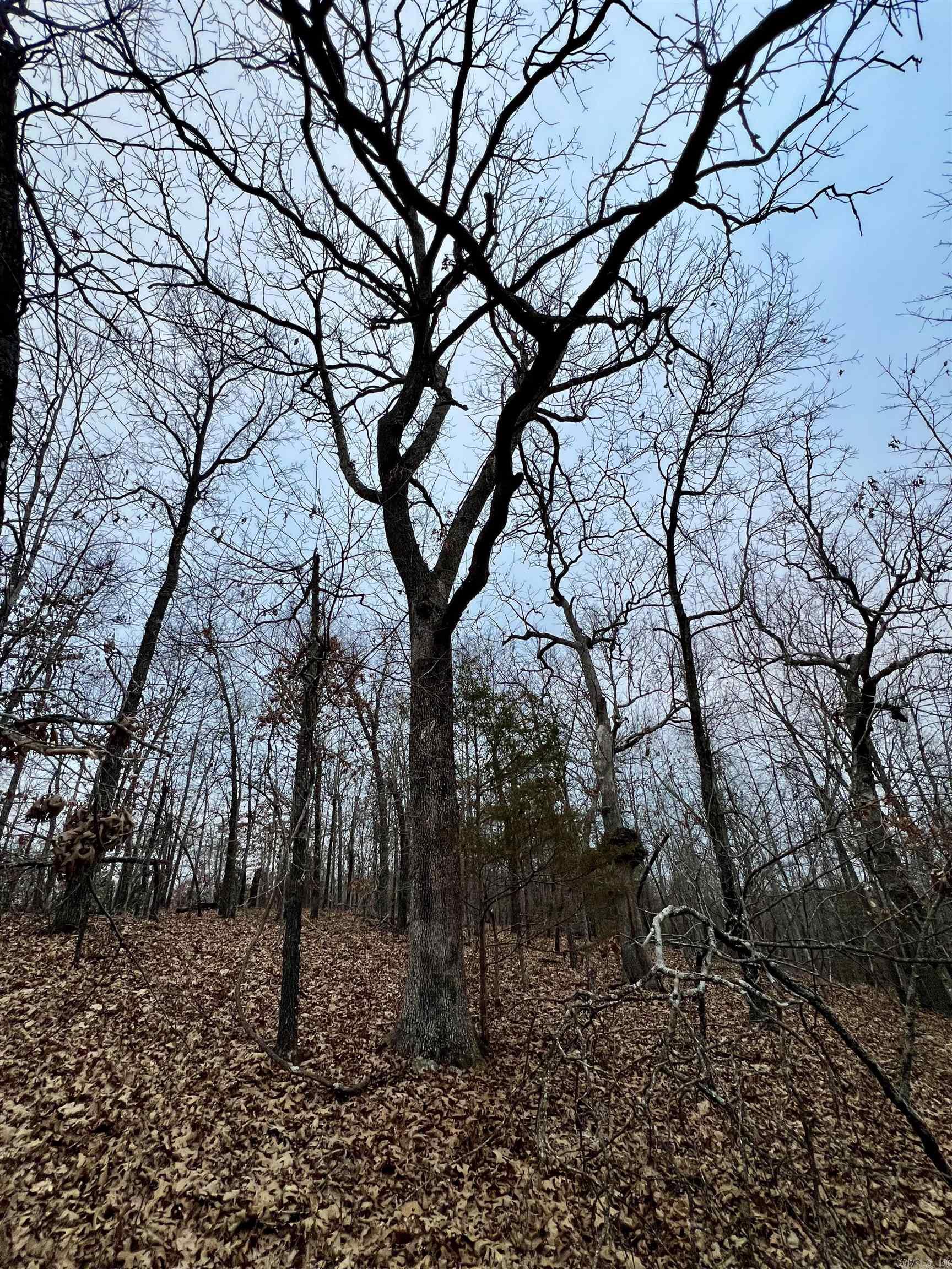 Paradise Point Estates - Land