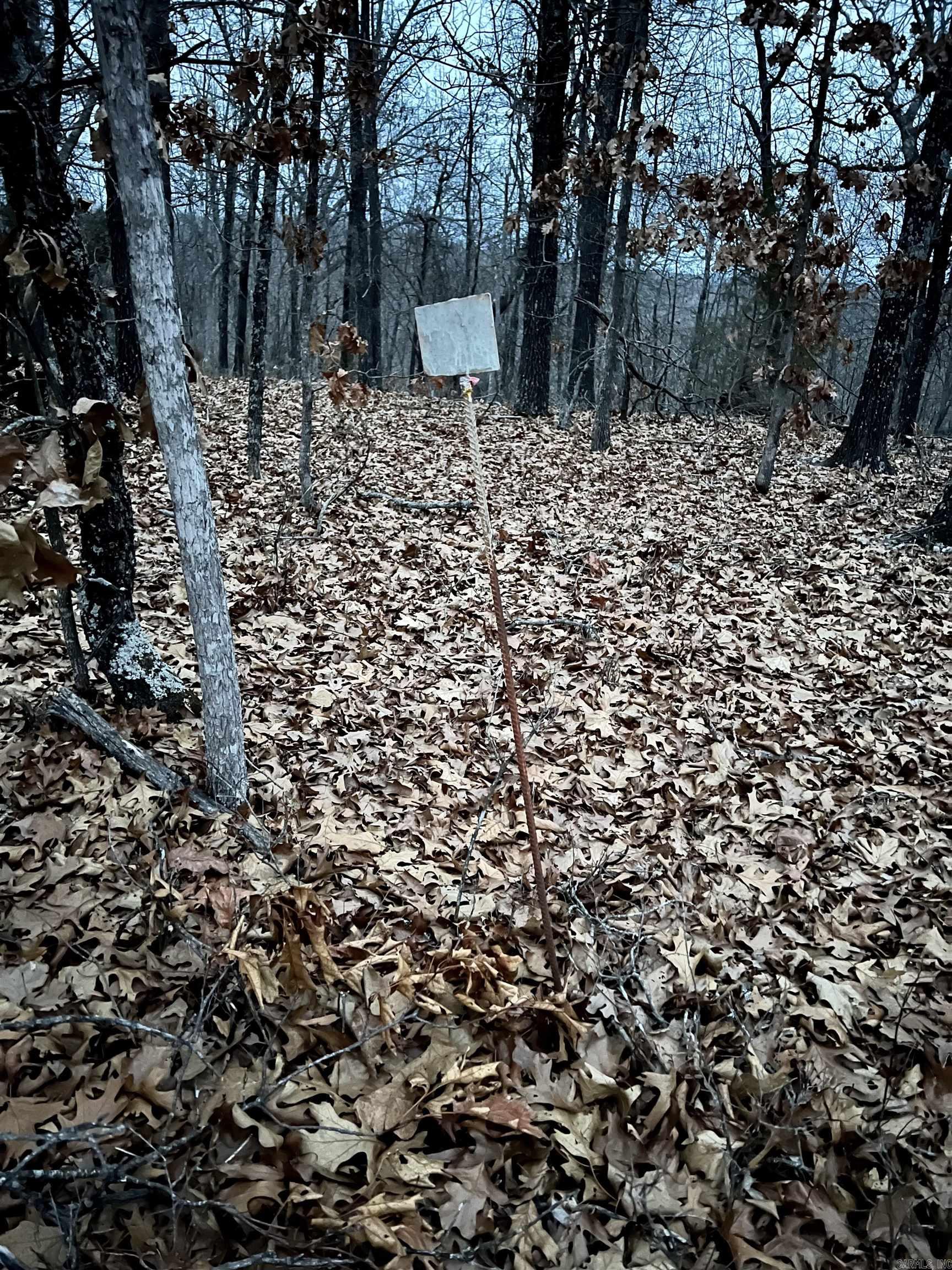 Paradise Point Estates - Land