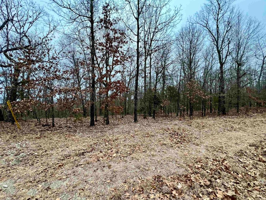 5.89 buildable surveyed acres in Promise Land area near Mountain Home and less than 2 miles to Bull Shoals Lake! Rural water and electric already on site and ready for your dream home or cabin. Serene, peaceful area with wet weather creek on back side of the property.