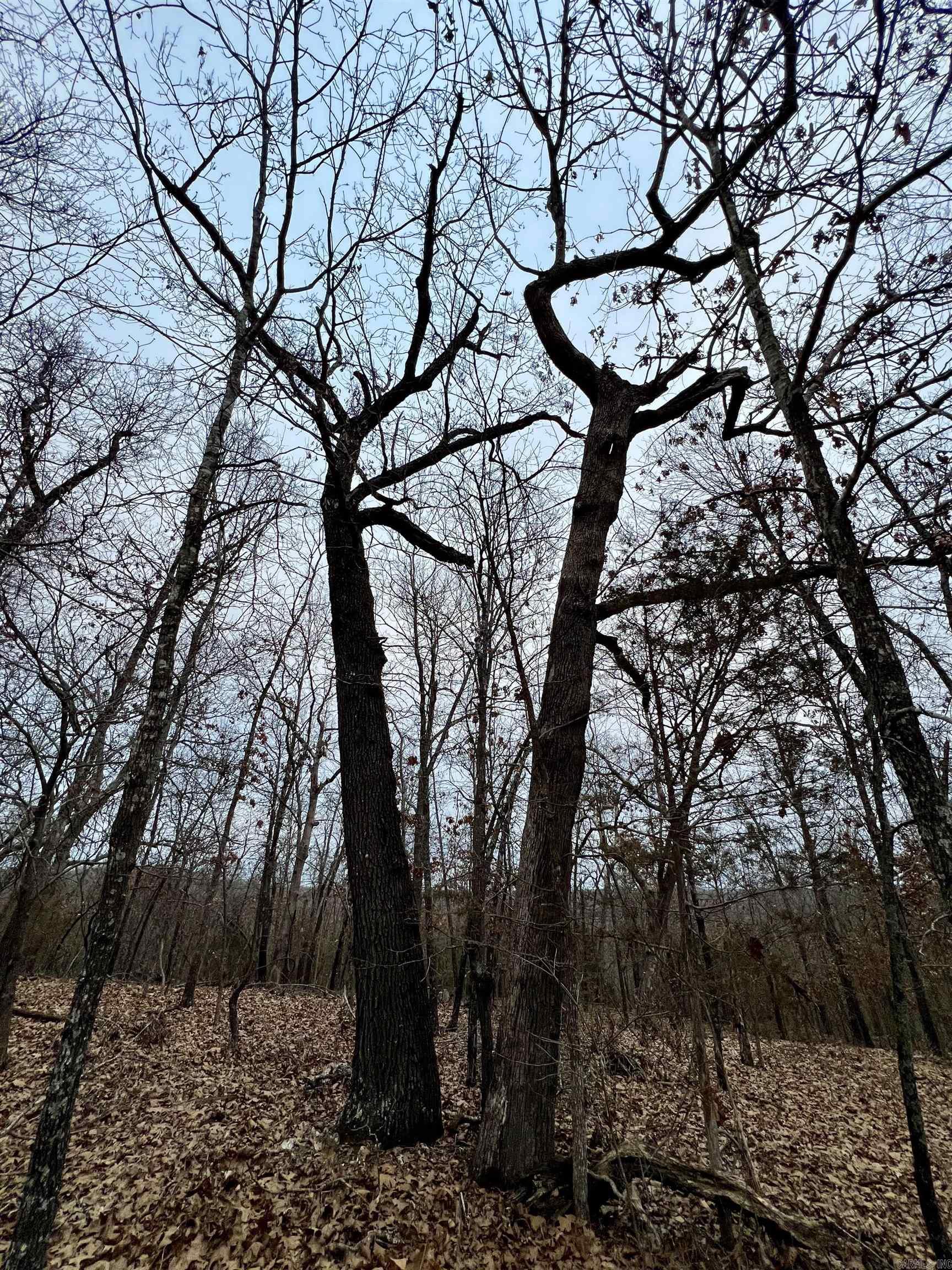 Paradise Point Estates - Land