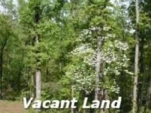 Building Lot Appraised Value 51,750
