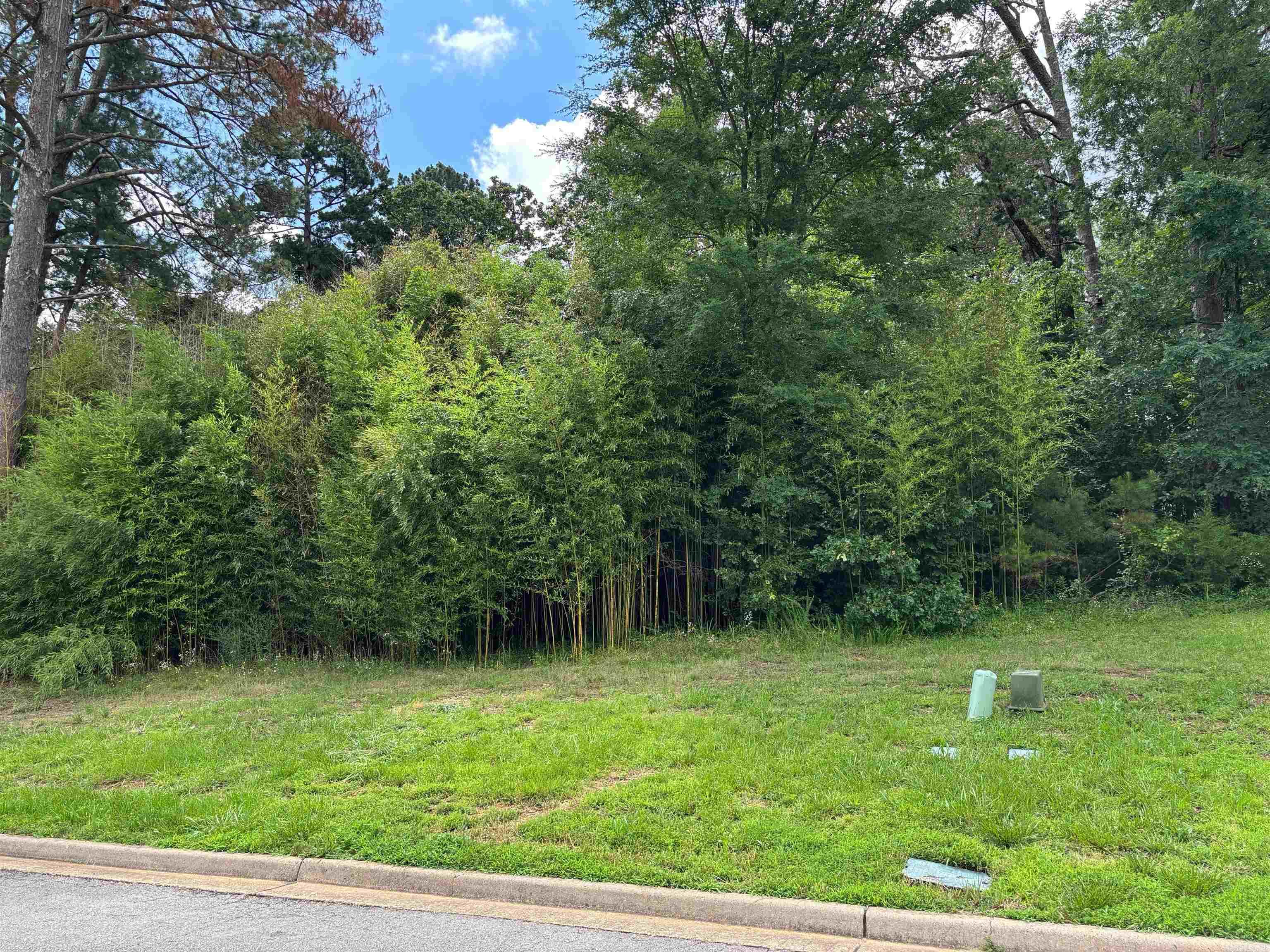 Looking for the perfect lot to build your dream home on? You've found it! Block 5 Lot 10 is now available for sale in beautiful Arlington Park. Centrally located, this gated, golf course neighborhood is adjacent to Hot Springs Country Club and within minutes to Hwy 270bypass, shopping, restaurants, Lakeside School, hospital, Oaklawn Park and much more. Lot 9 is also available, see MLS #25024744