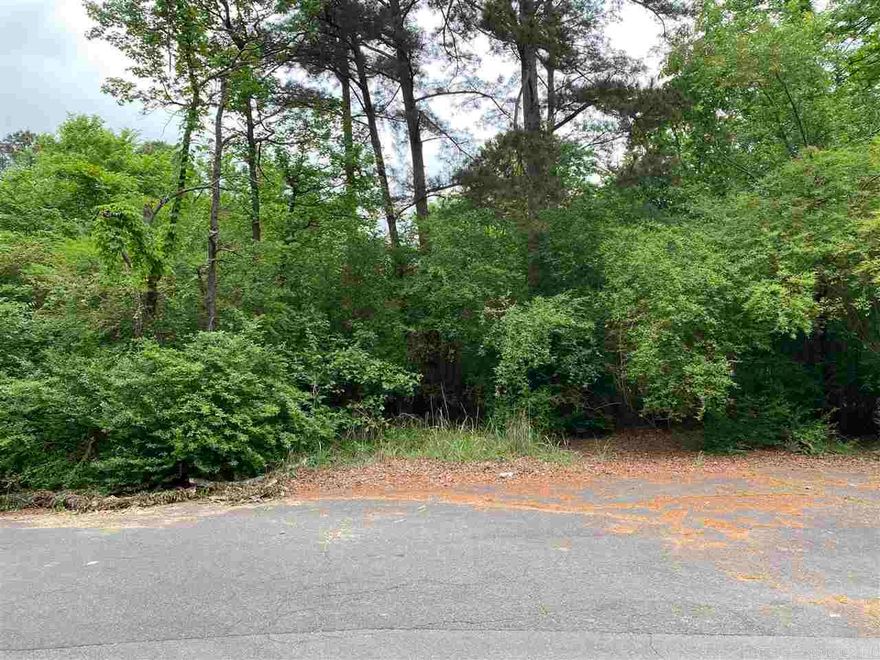 Quiet neighborhood, good building site. Extra large lot that stretches from Charbett Dr. across to Shady land at the end of the culdesac. Nice investment opportunity.