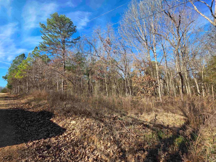 3.81 acres of land in Izard County. Country living, off grid living or even a hobby farm. Partially cleared but mostly wooded land, located back in the country not far from Zion and even closer to Caney Creek. There is a well on the property that will need a pump and pressure set. Power is at the Road and there is a power line easement on the property. This Parcel has road frontage on 3 sides. Drive out and get a look at this property for yourself. Pick your building spot and start living the country lifestyle.