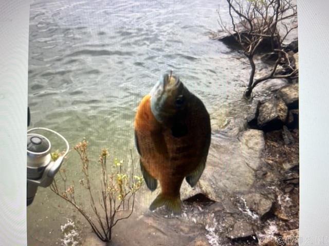 SOUTH FORK BAY - Residential