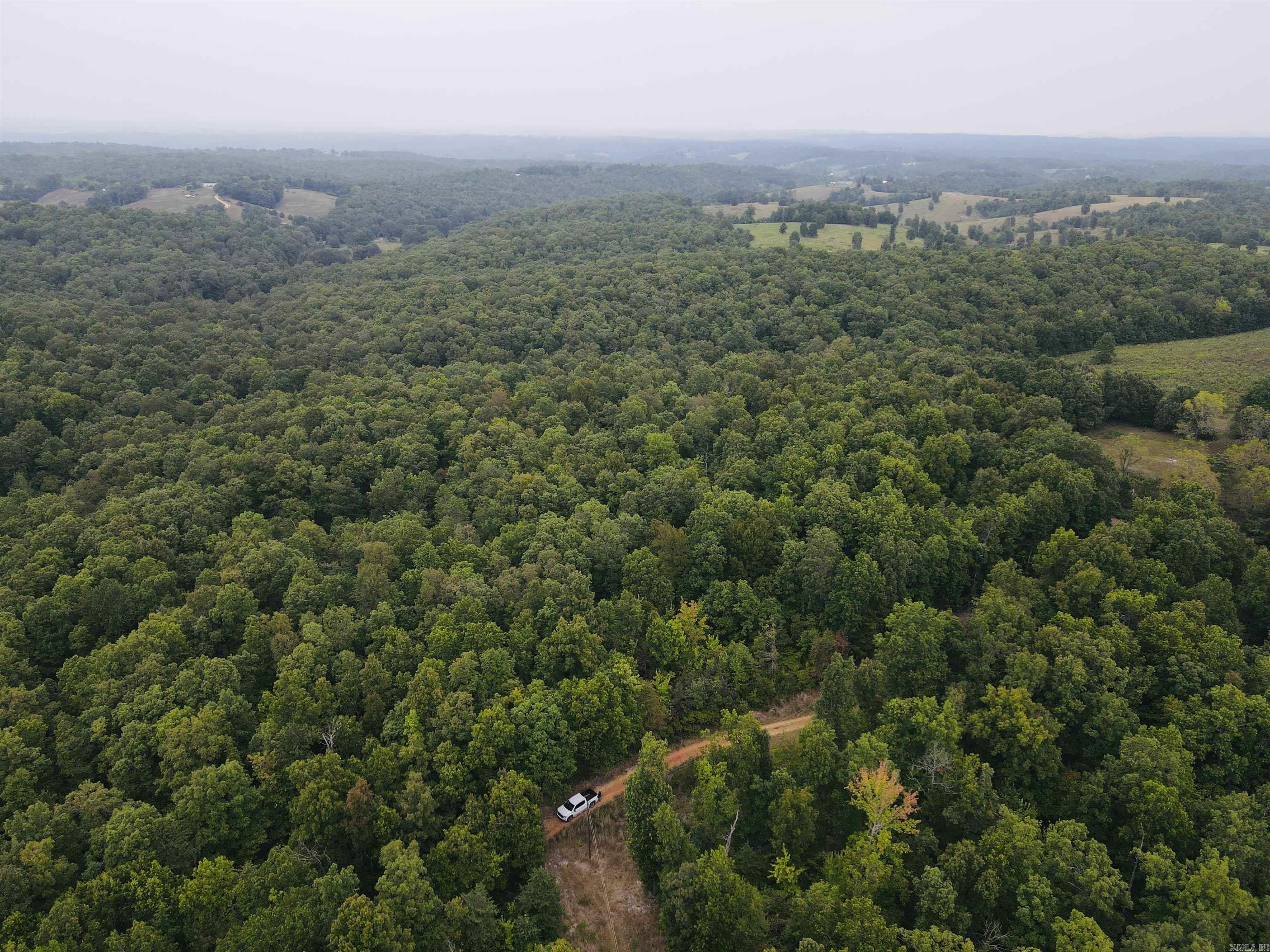 This 30 acre property sits on Persimmon Drive and offers both accessibility and privacy, just minutes from the Buffalo National River, Ozark National Forest, Sylamore WMA, Loaferās Glory WMA, and the White River. With the privacy of the fully wooded acreage, it provides plenty of space for building, recreation, or creating your own private retreat. Utilities including electric, and high-speed fiber are already available, making it an excellent choice for a hunting property, home, cabin, or getaway in the heart of the Ozarks. The seller is open to entertaining other options for more or less acreage at this location.