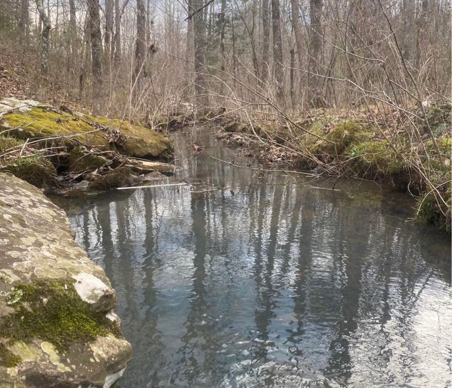 8.7 Acres with no restrictions.