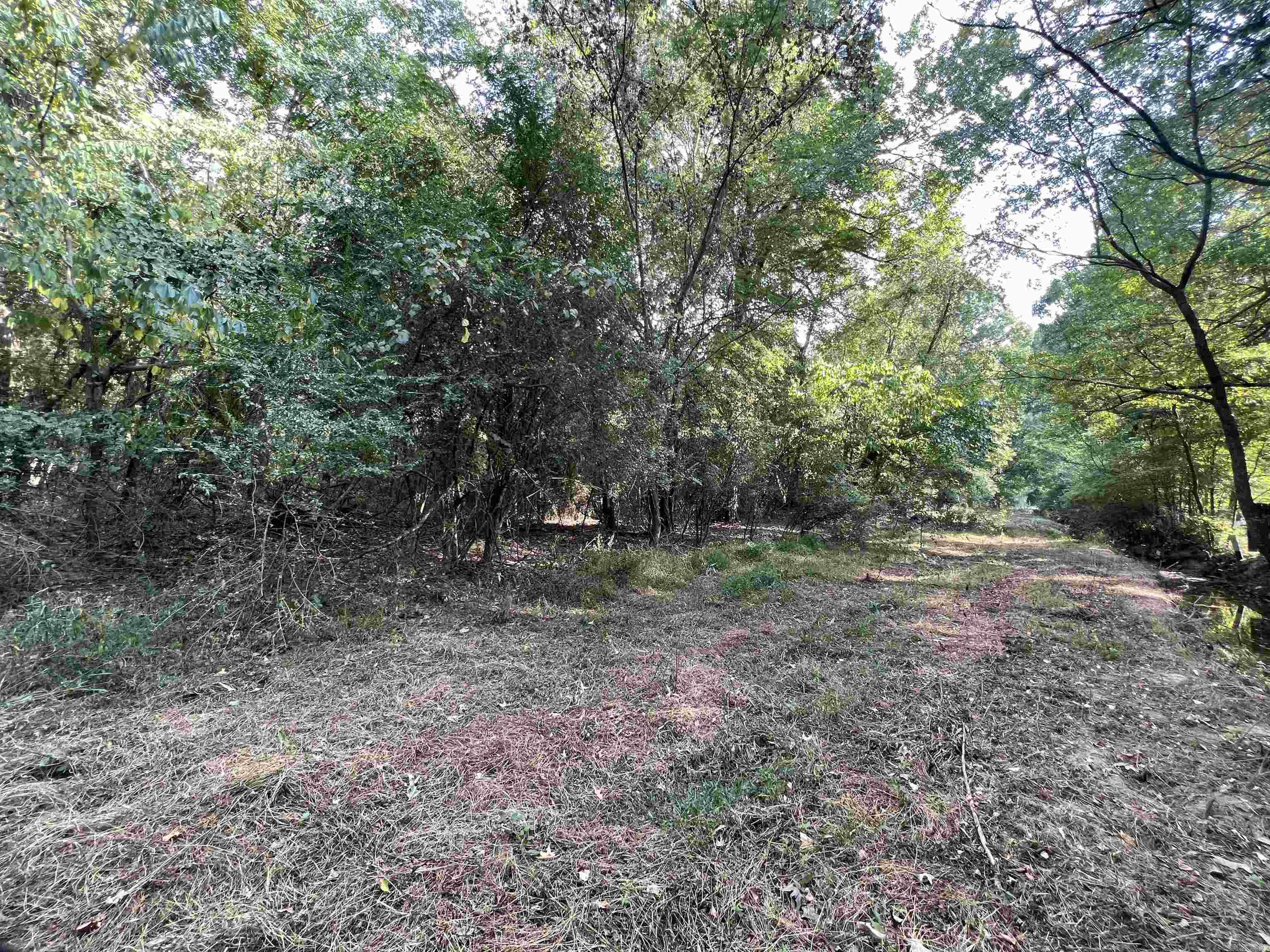 Searcy Outlots - Land