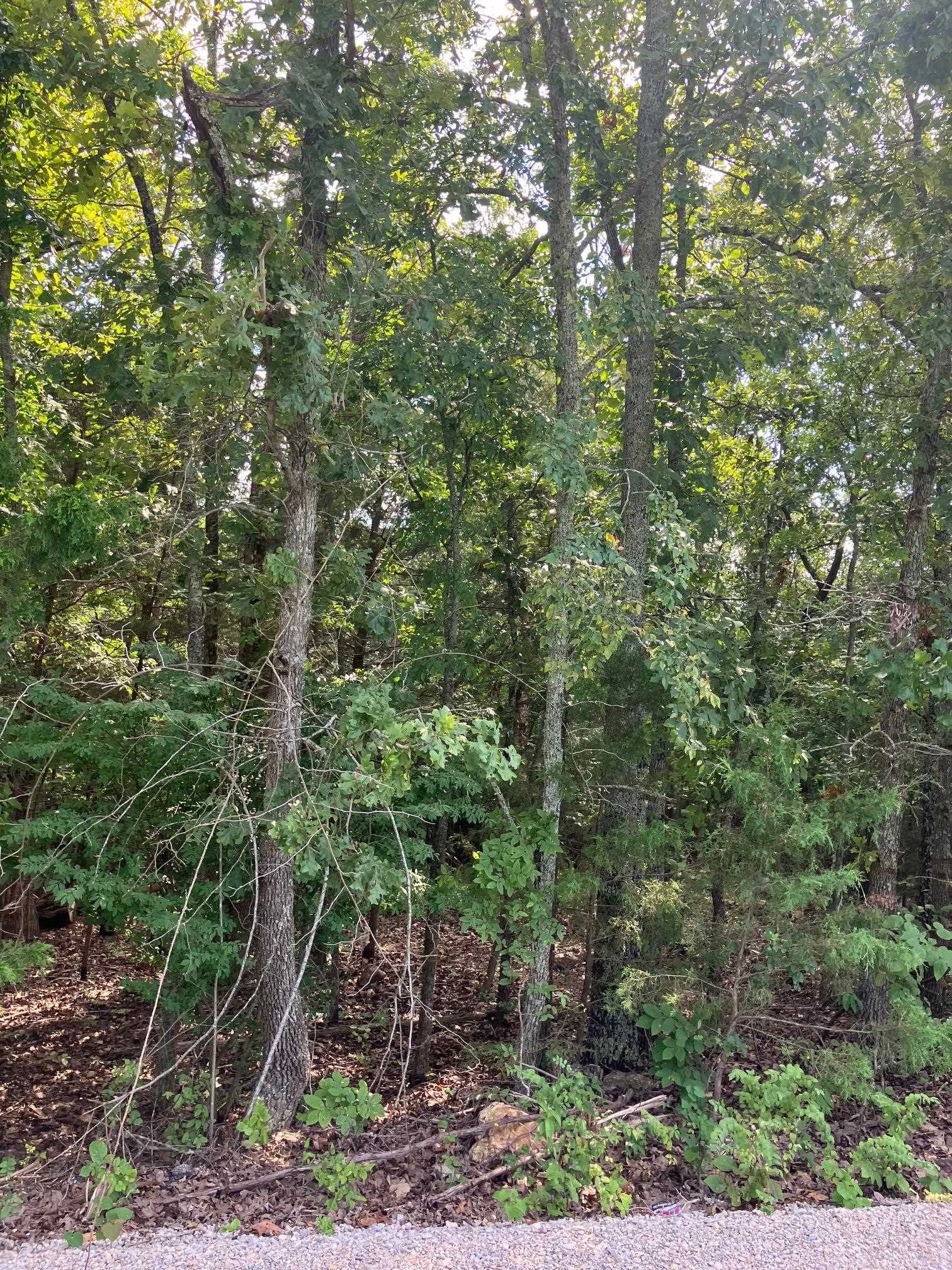 Residential Lots Near Mtn. Home & Lake Norfork Prime residential lots near Mountain Home and stunning Lake Norfork! Enjoy lake access just under a mile away (boat dock, no ramp). These lots offer an ideal building site with electricity already on the property and the possibility of city water. Conveniently located, you'll be close to essential amenities including shopping, restaurants, medical facilities, and the hospital. Don't miss this opportunityāschedule your showing today!
