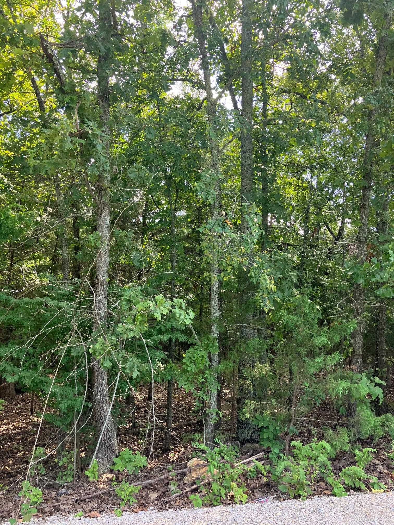 Kingswood Estates - Land