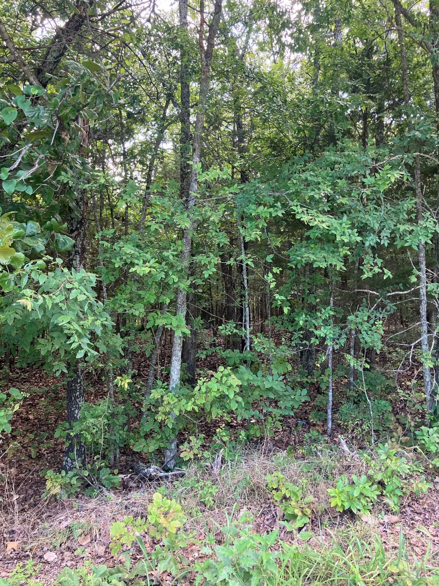 Kingswood Estates - Land