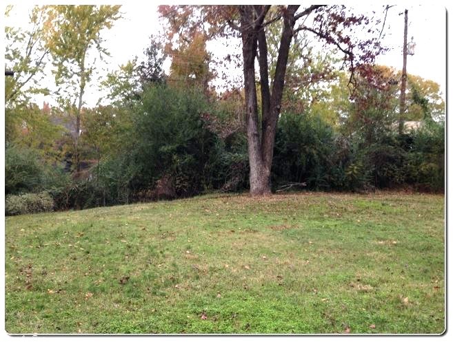 Lake View - Residential