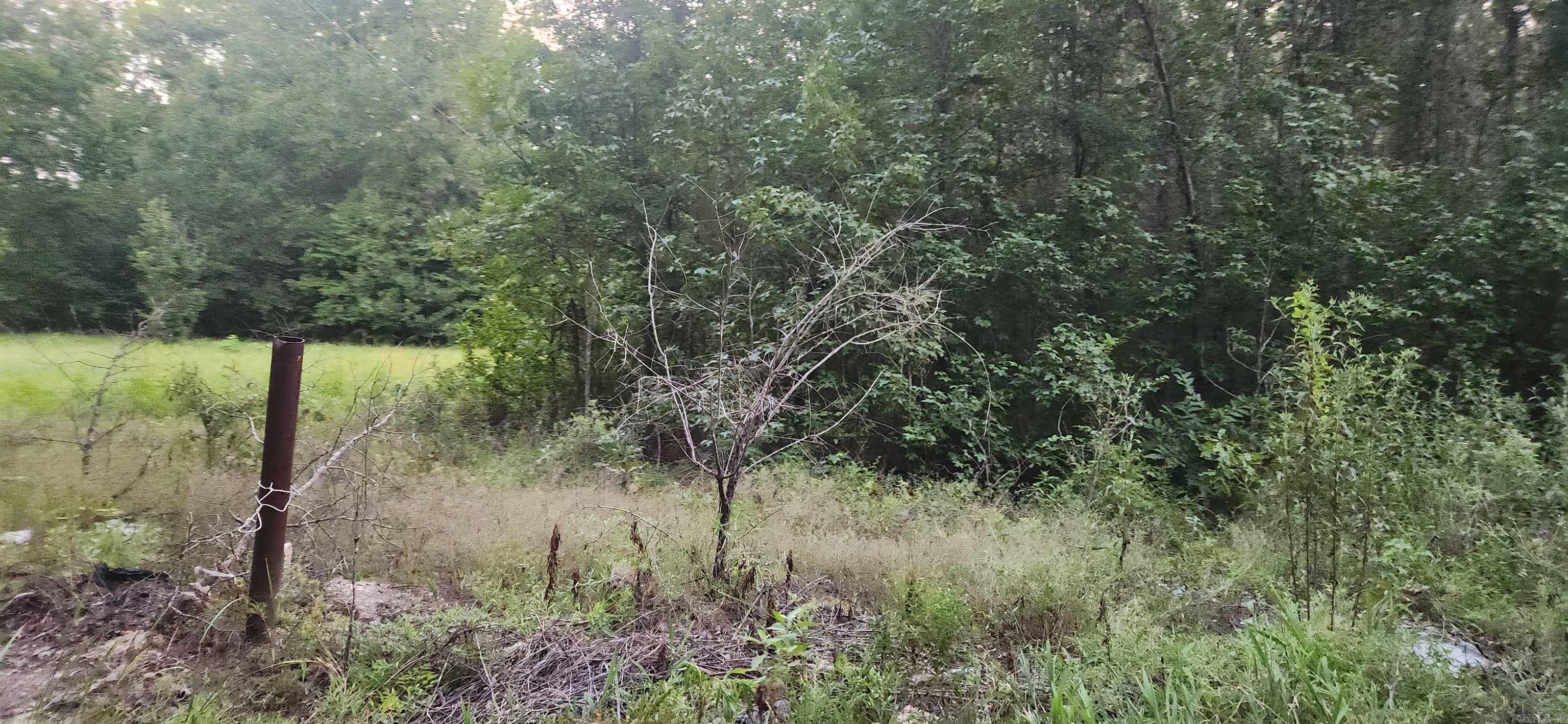 4 wooded lots behind Coleman Elementary School. Perfect for building a home, manufactured home or whatever your dream is. Zoned R4